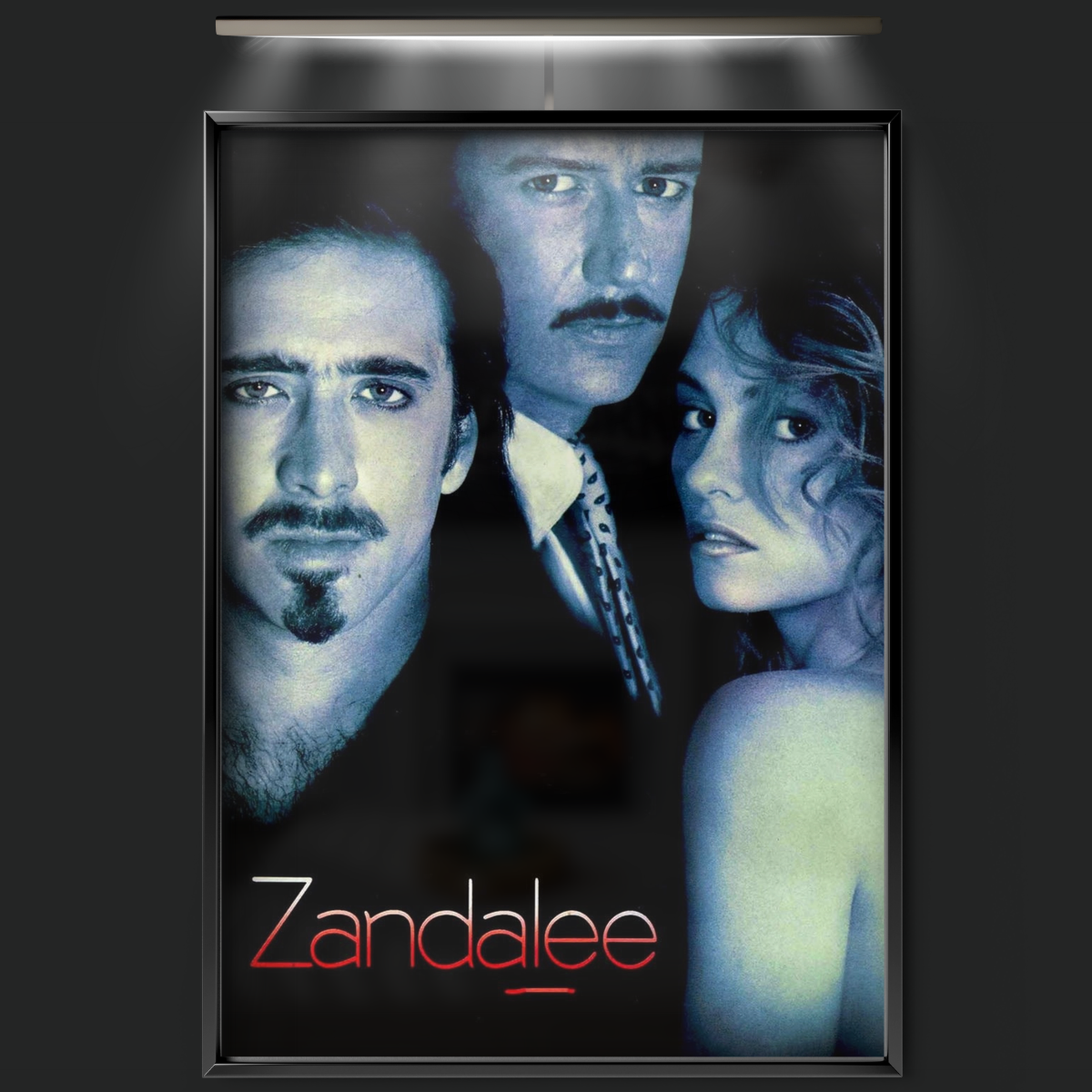 Zandalee (1991)