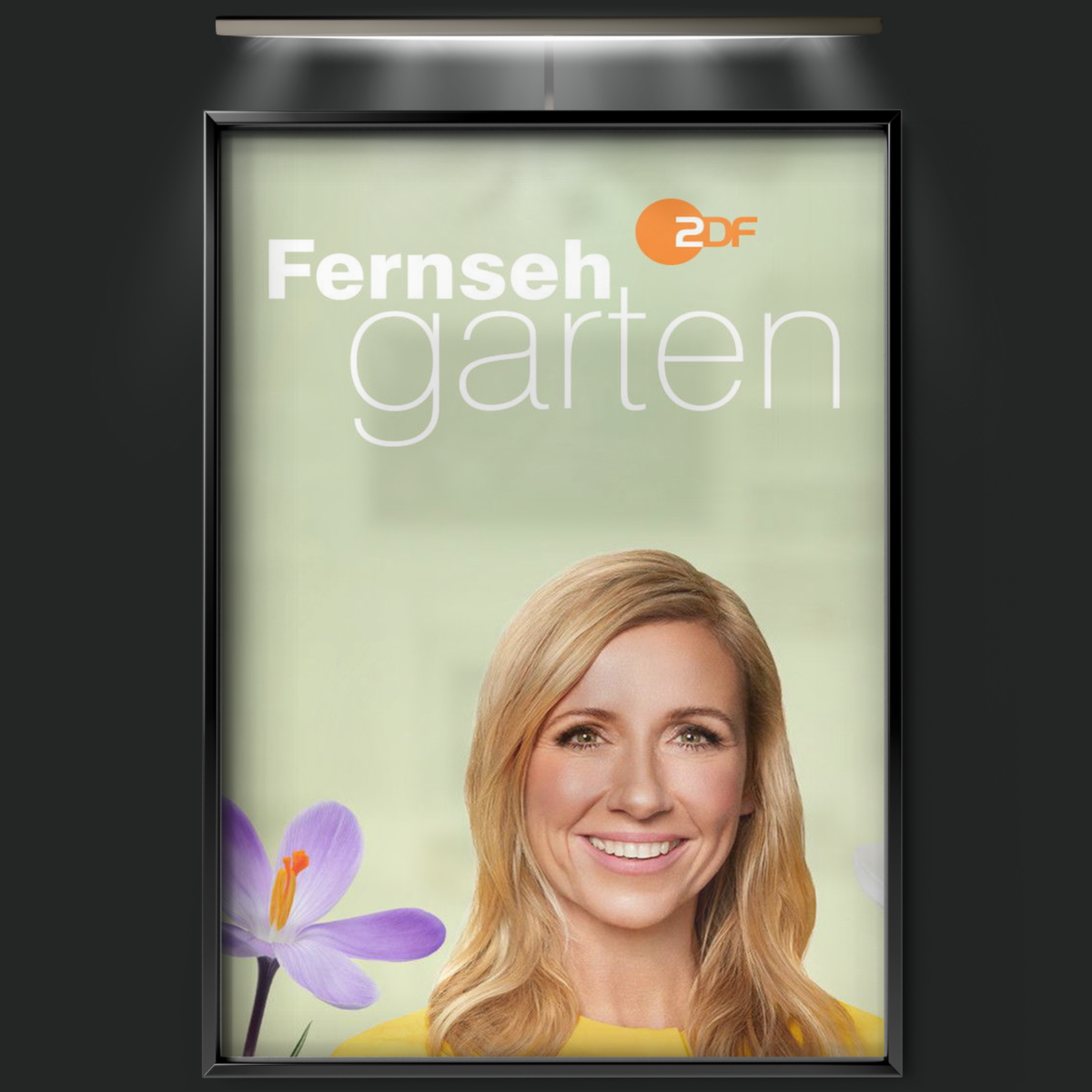 Zdf Fernsehgarten (1986)