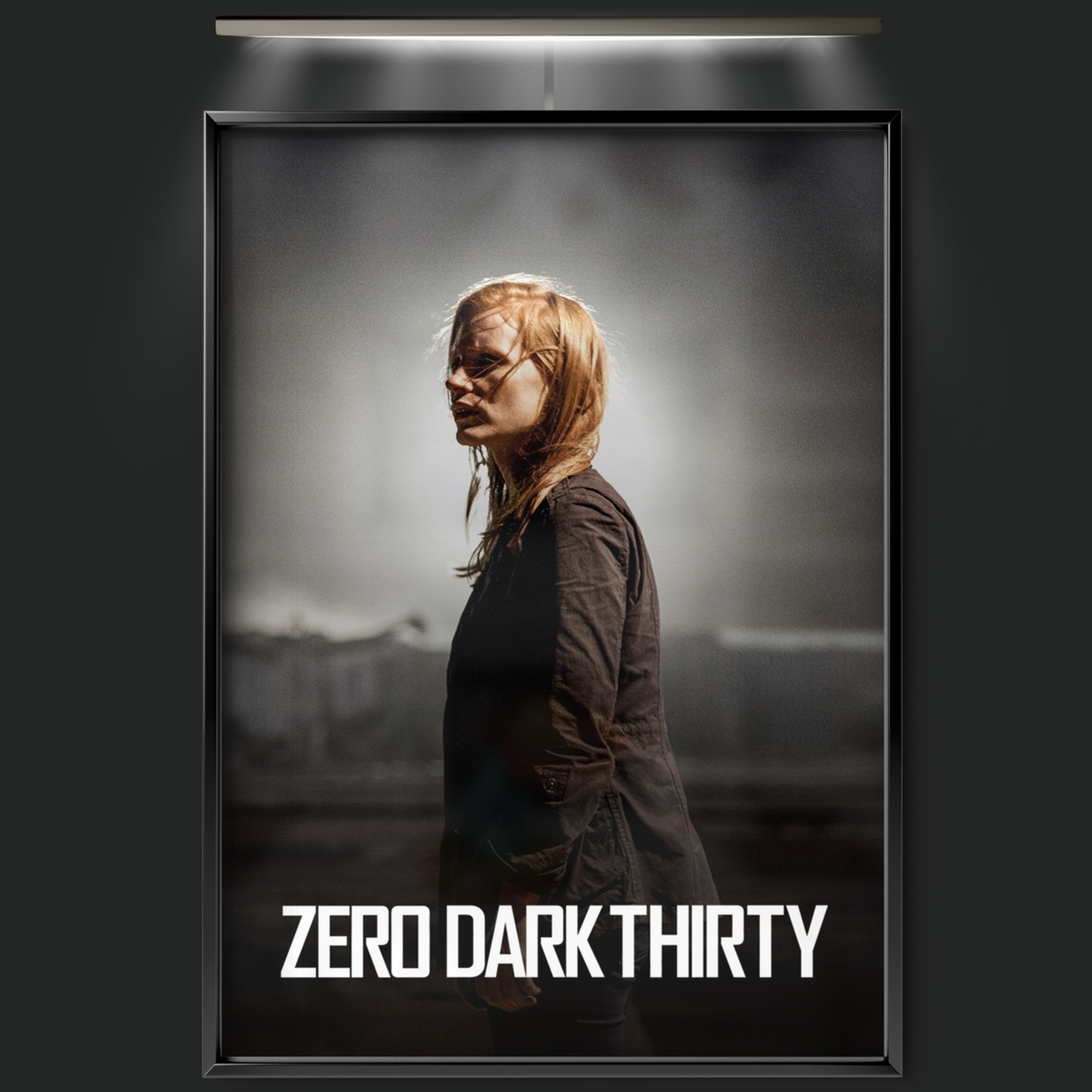 Zero Dark Thirty (2012)