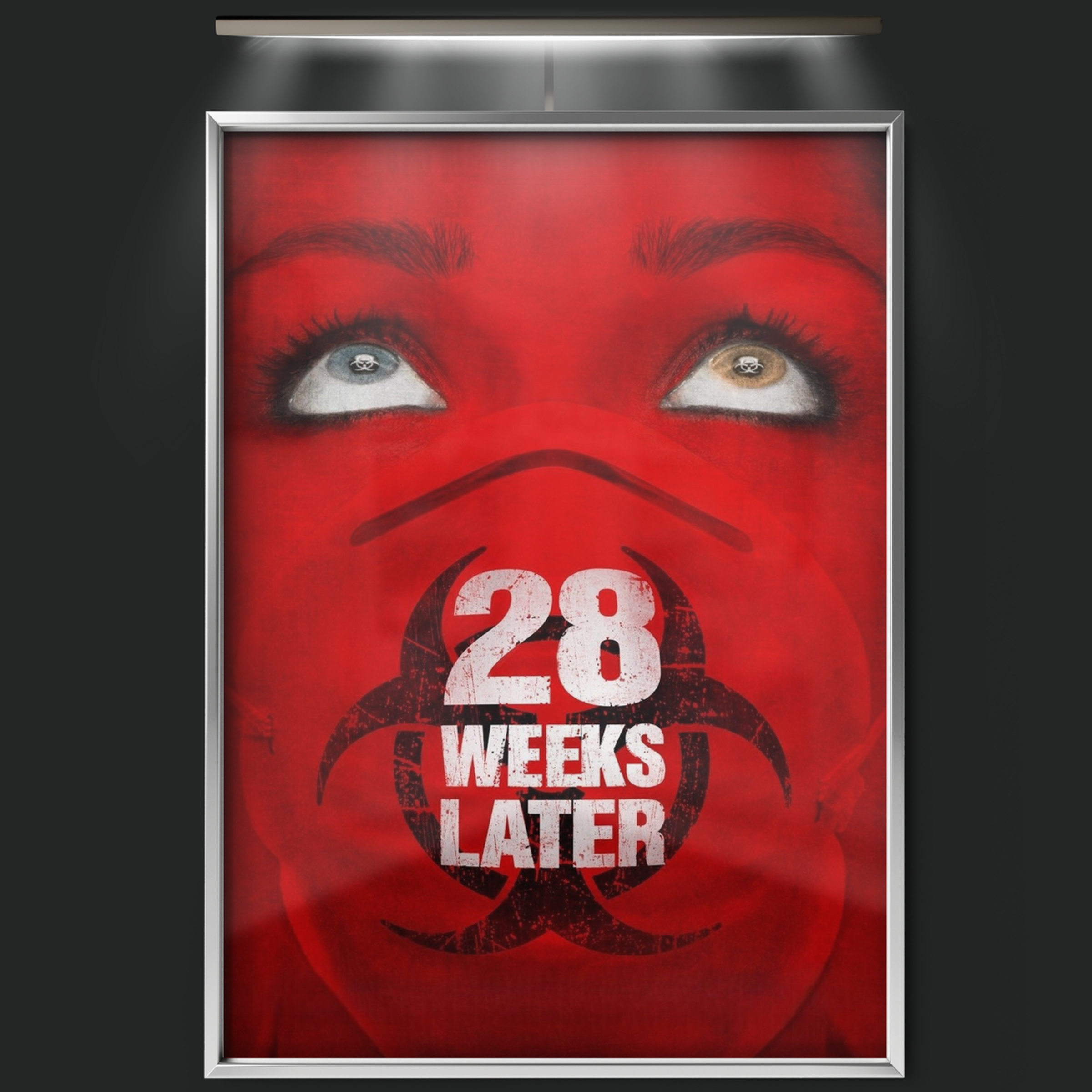 28 Weeks Later (2007)