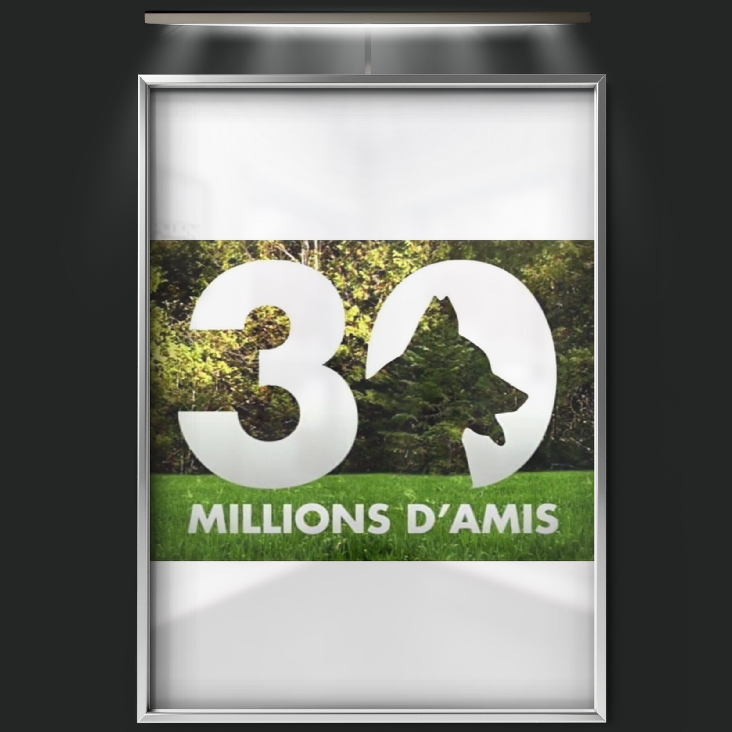 30 Millions D'amis (1976)