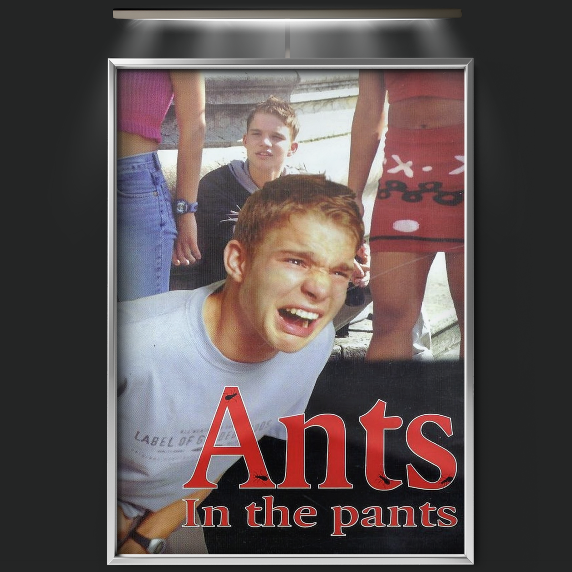 Ants In The Pants (2000)