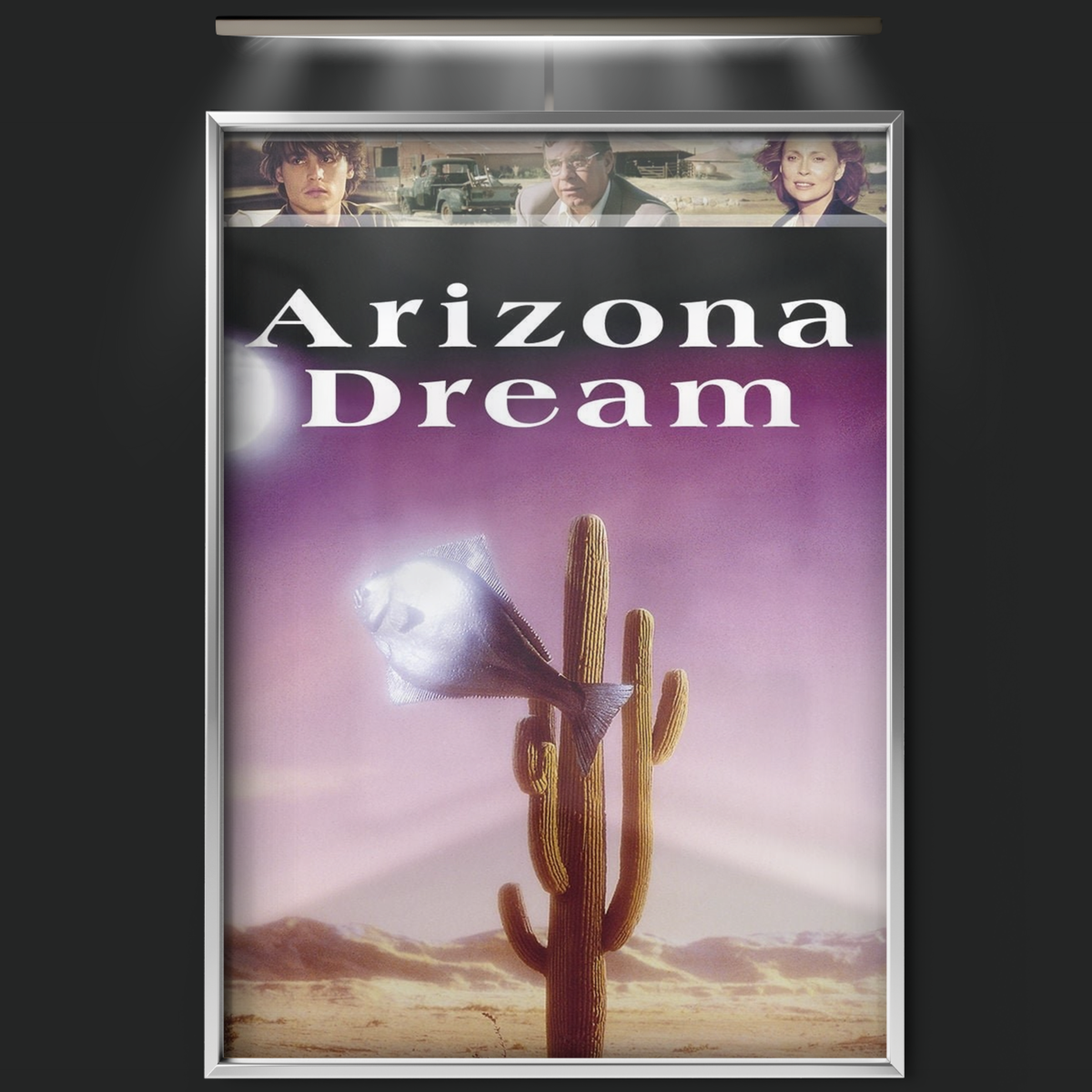 Arizona Dream (1993)