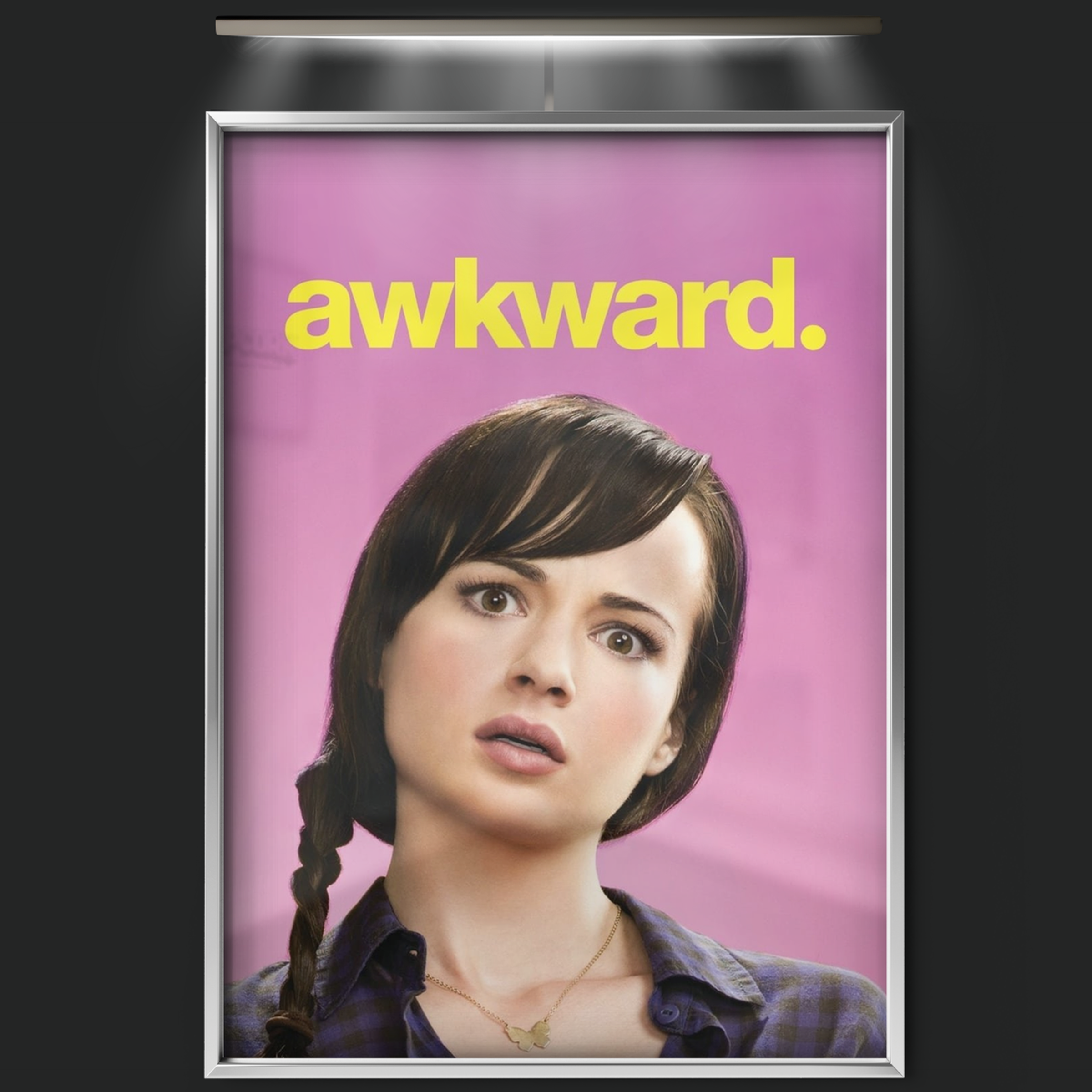 Awkward. (2011)