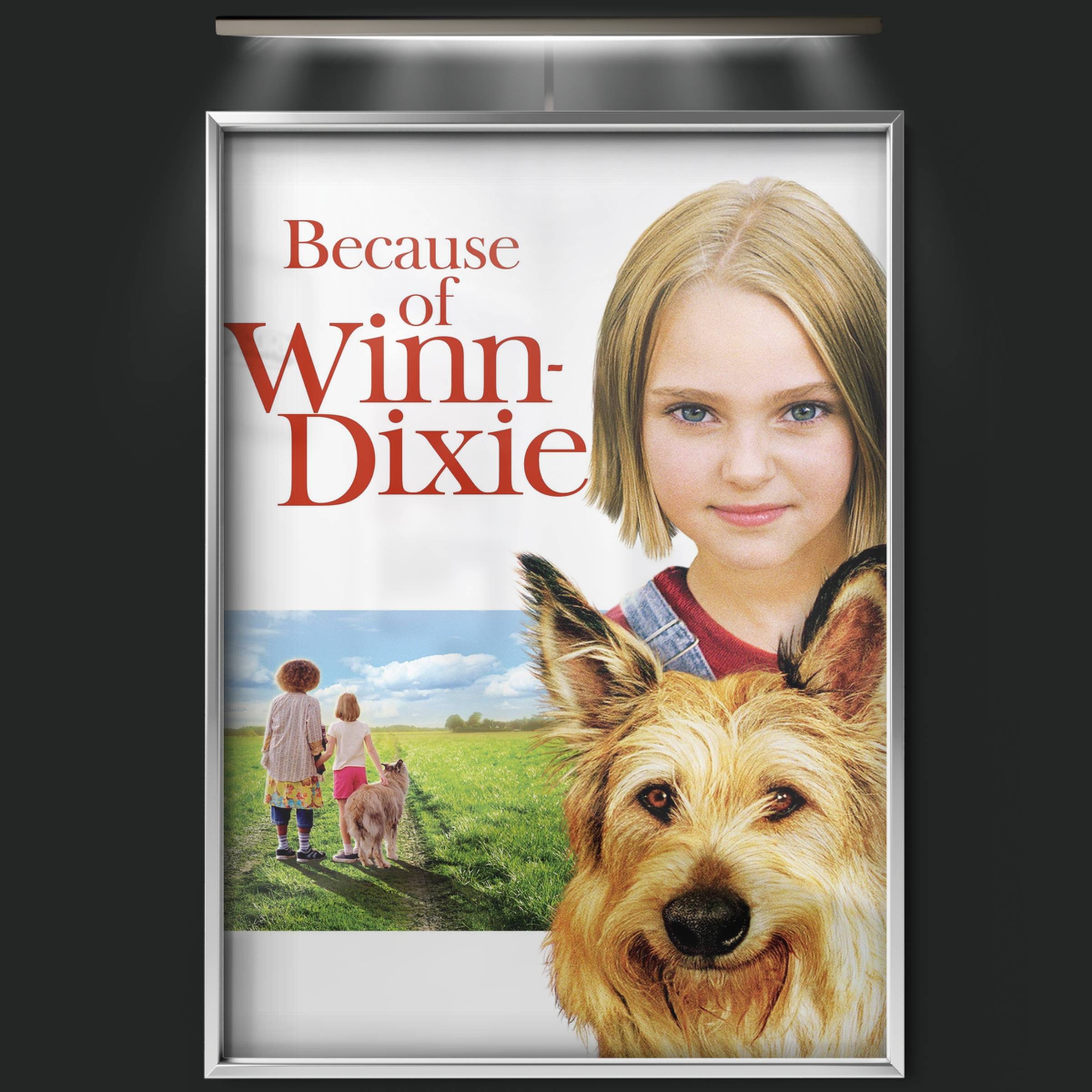 Because Of Winn Dixie (2005)