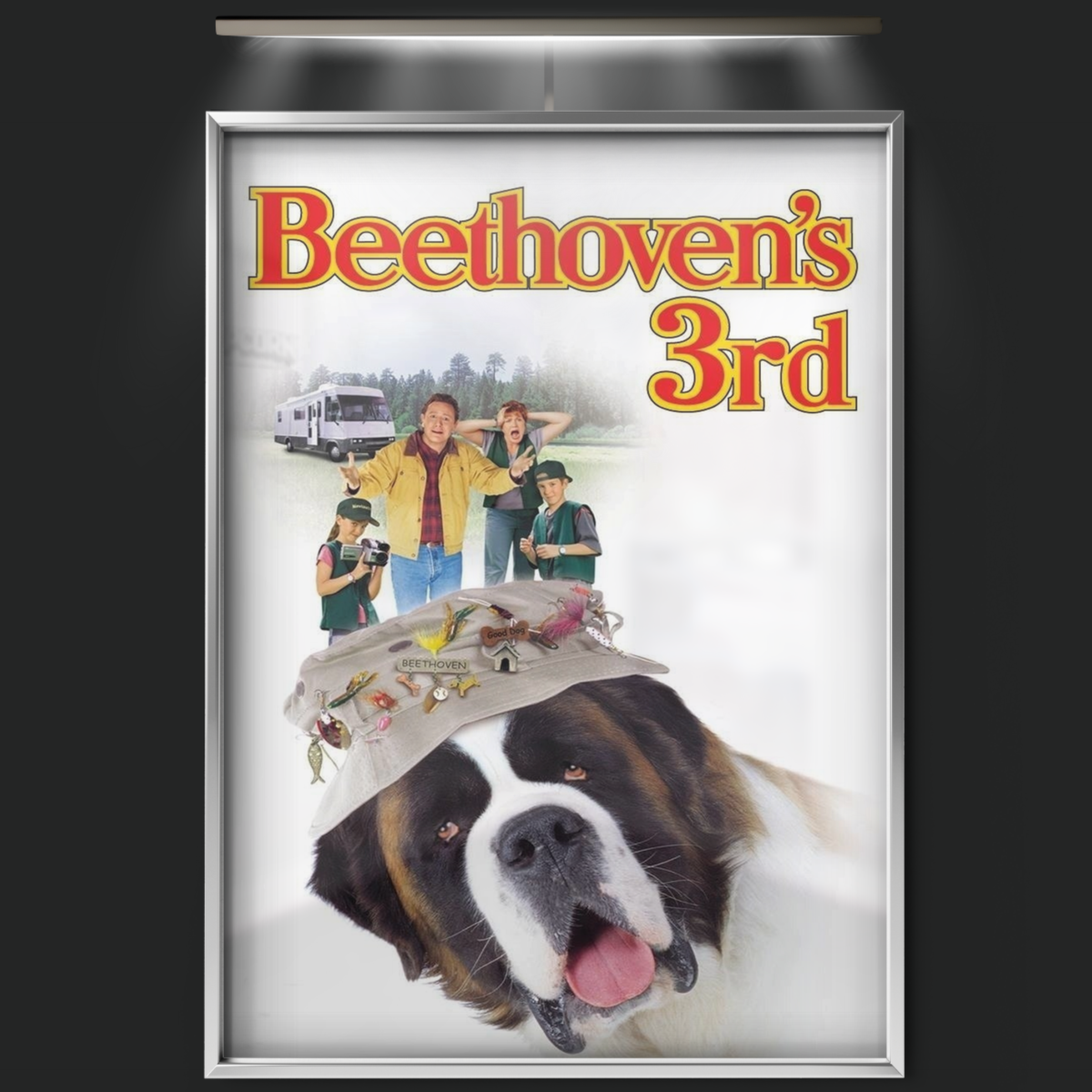 Beethoven's 3rd (2000)