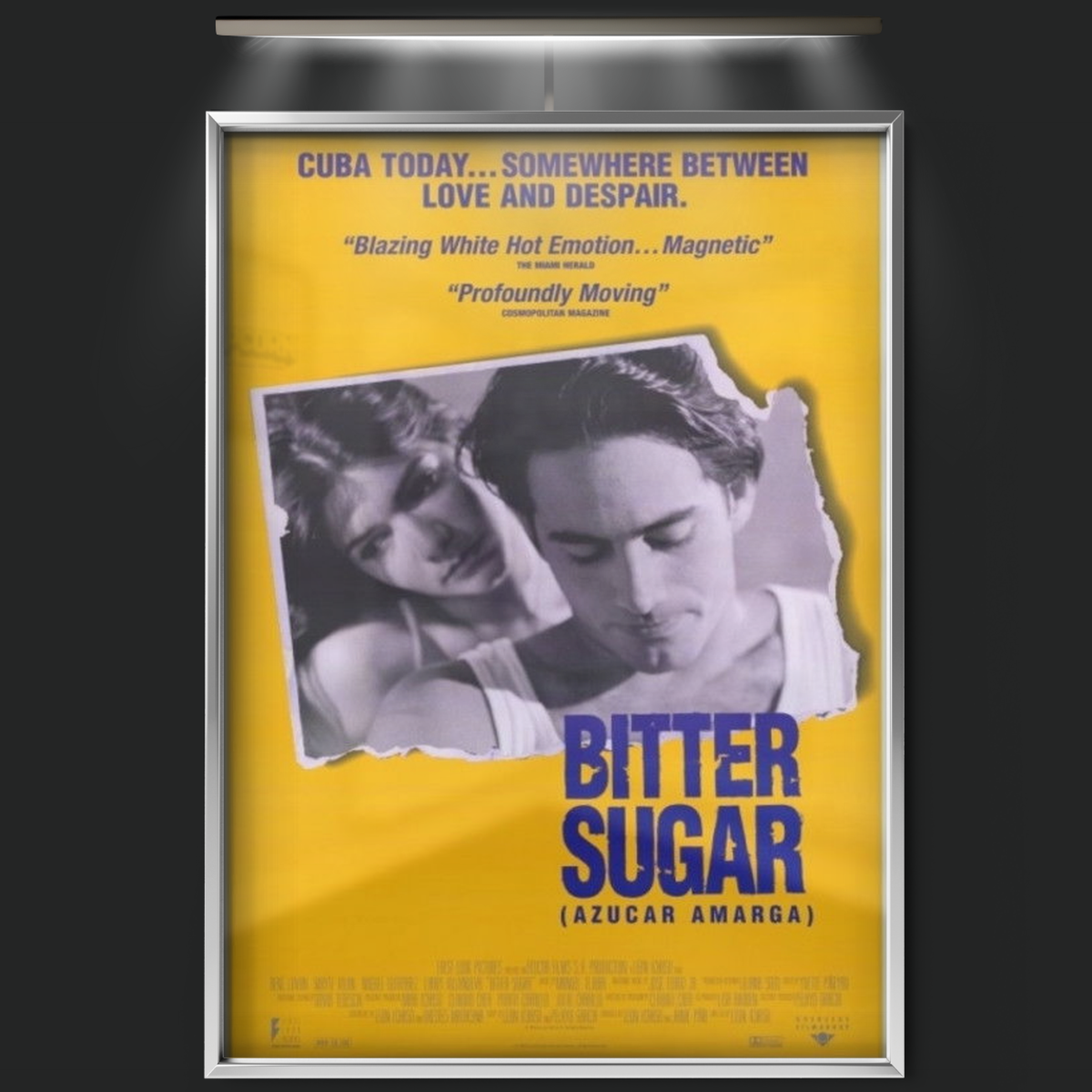 Bitter Sugar (1996)
