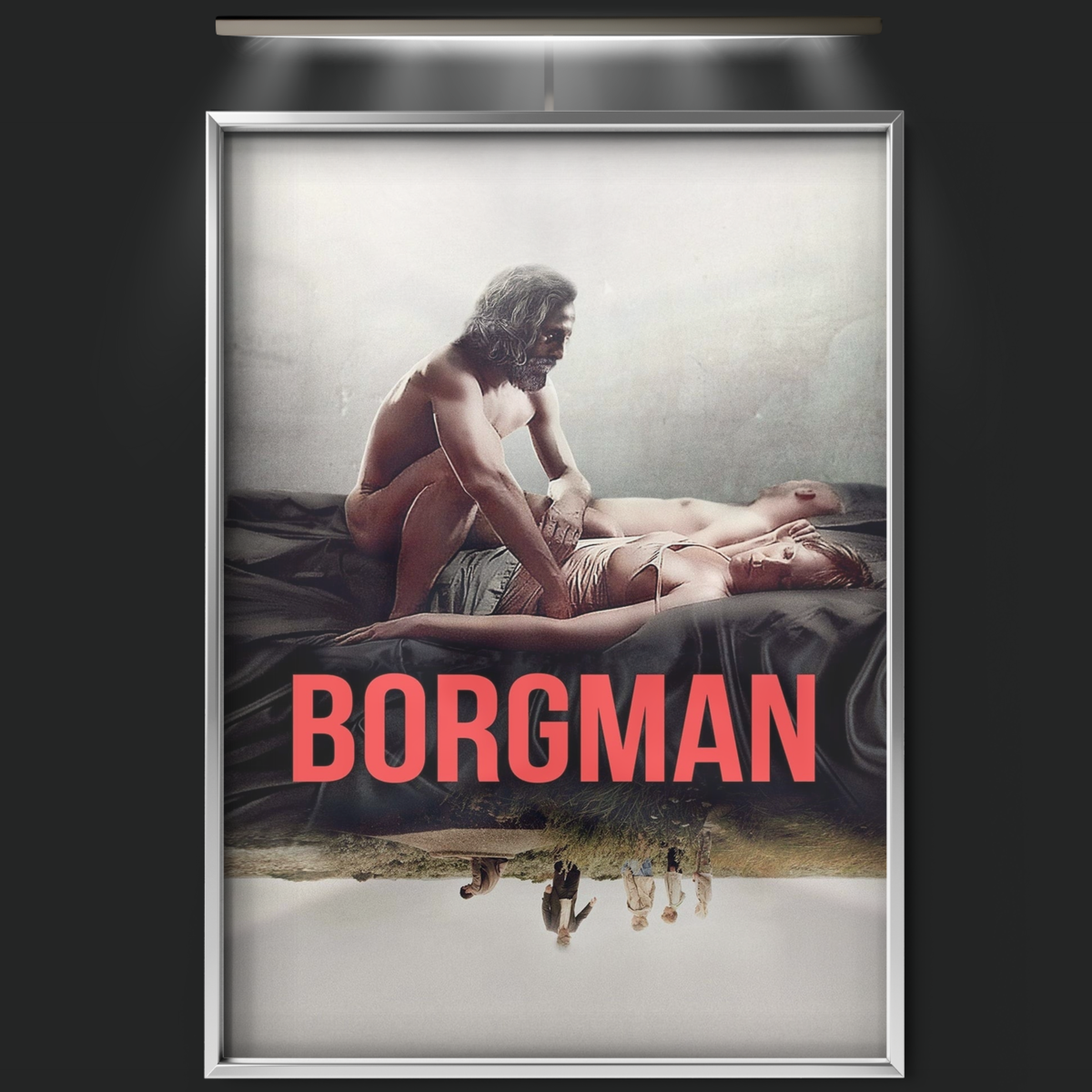 Borgman (2013)