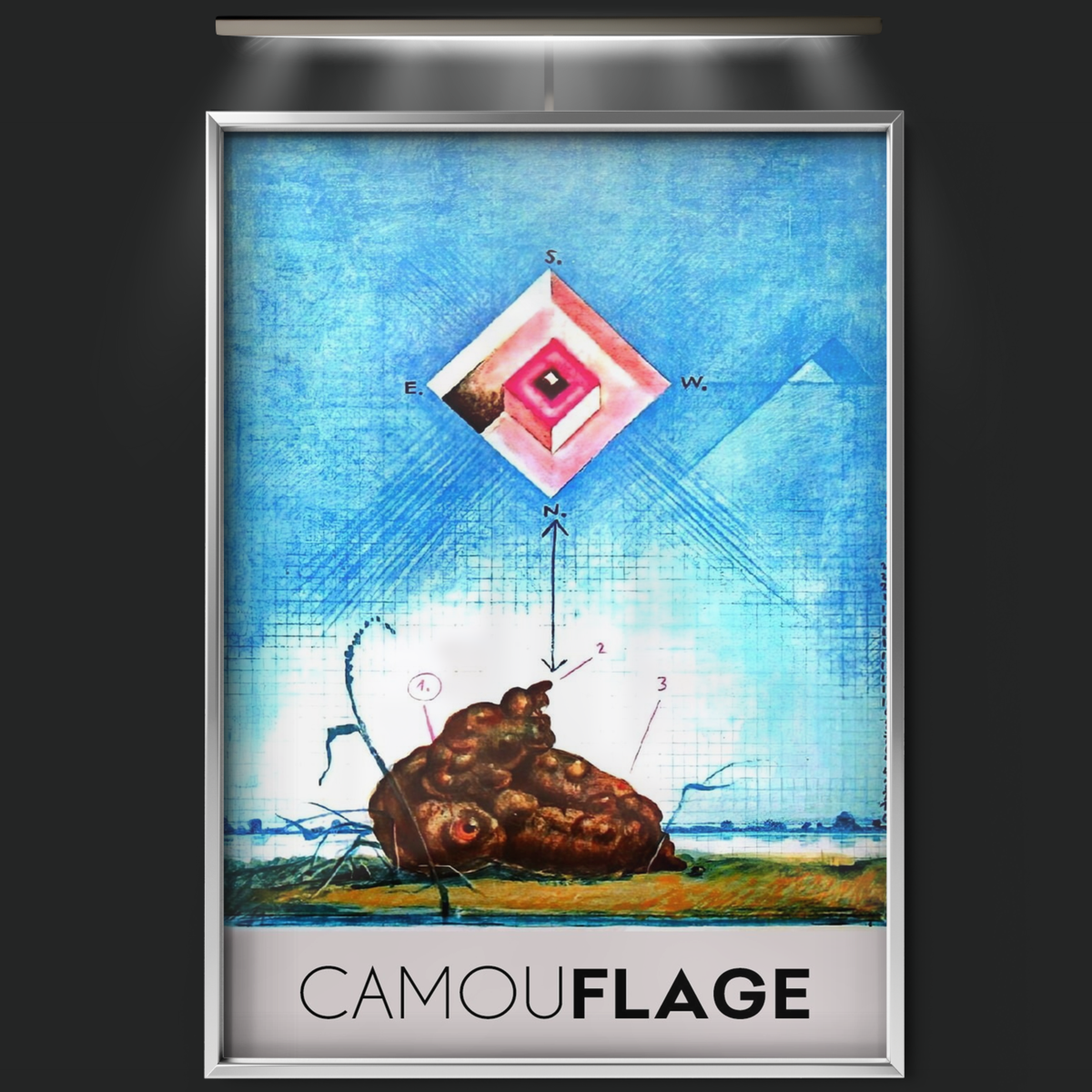 Camouflage (1977)