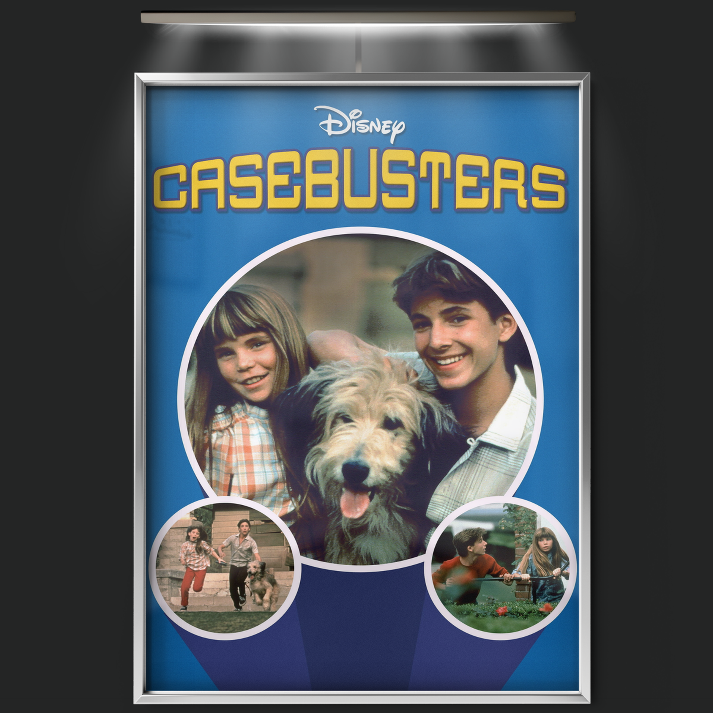 Casebusters (1986)
