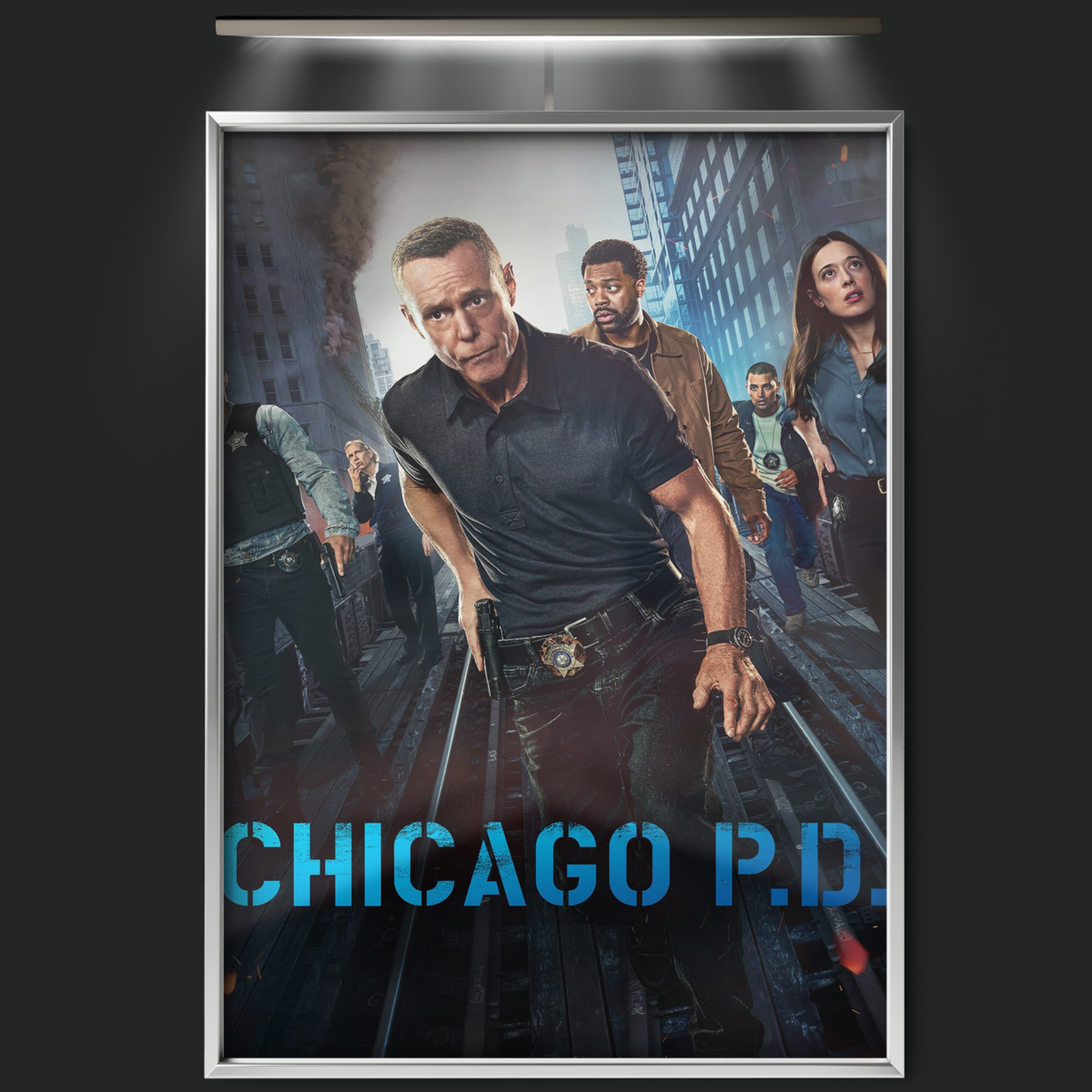 Chicago P.d. (2014)