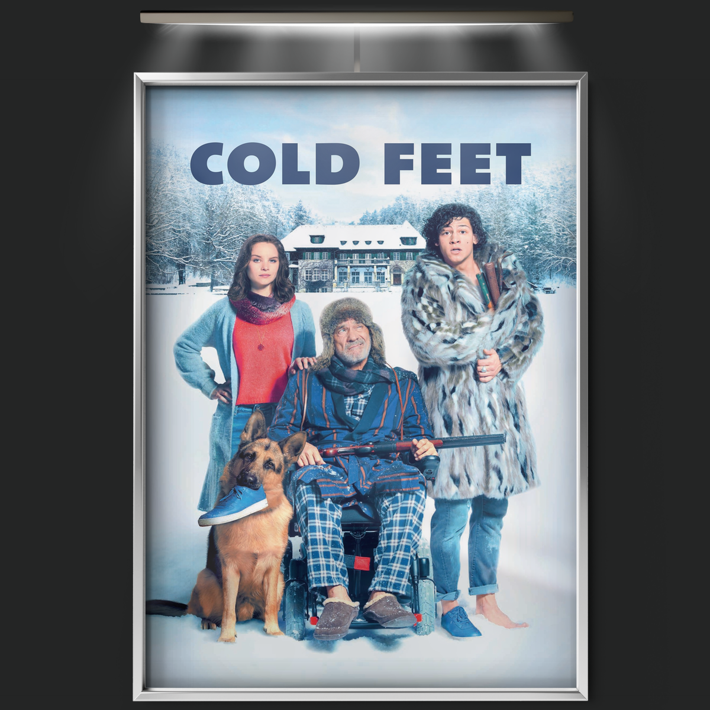Cold Feet (2018)