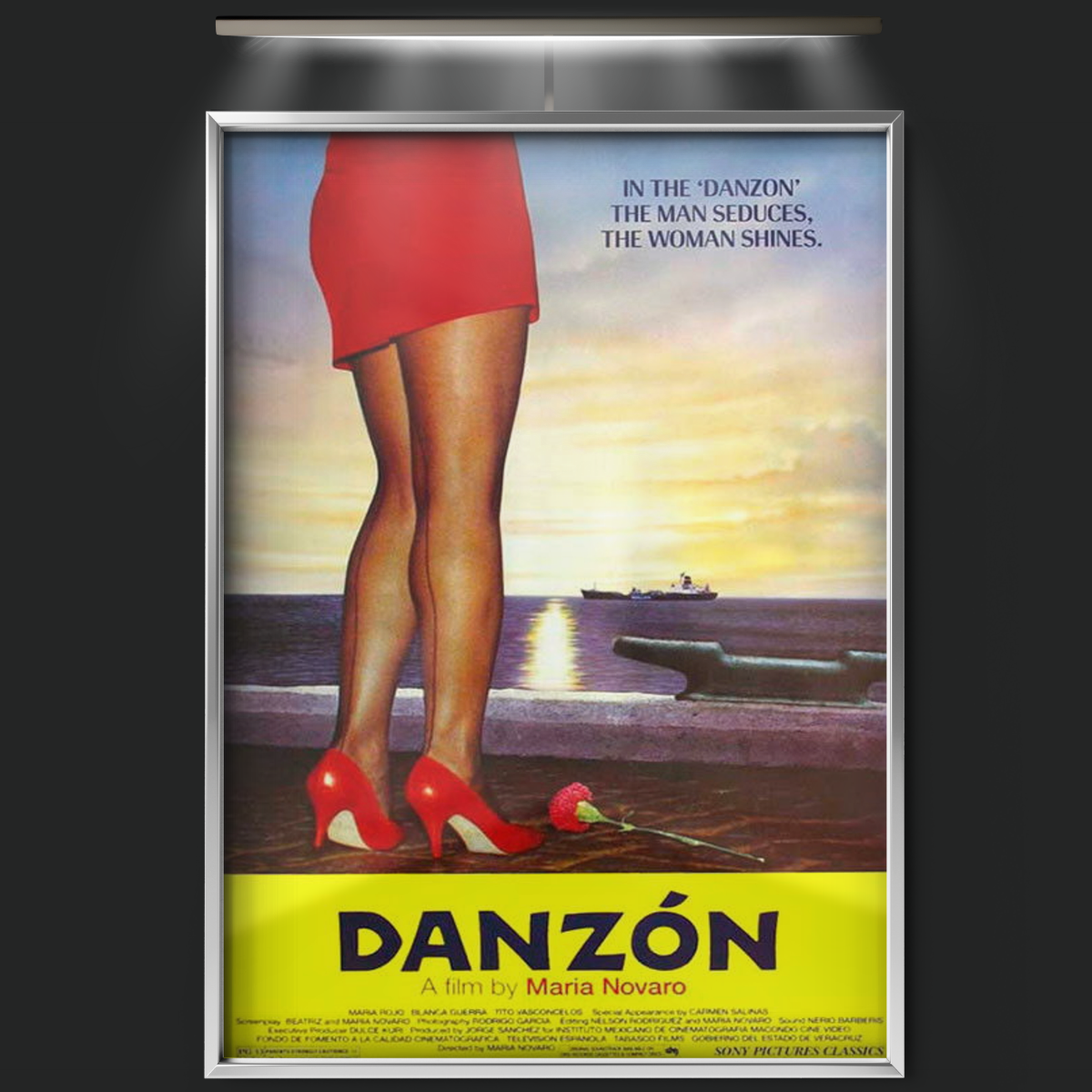 Danzón (1991)