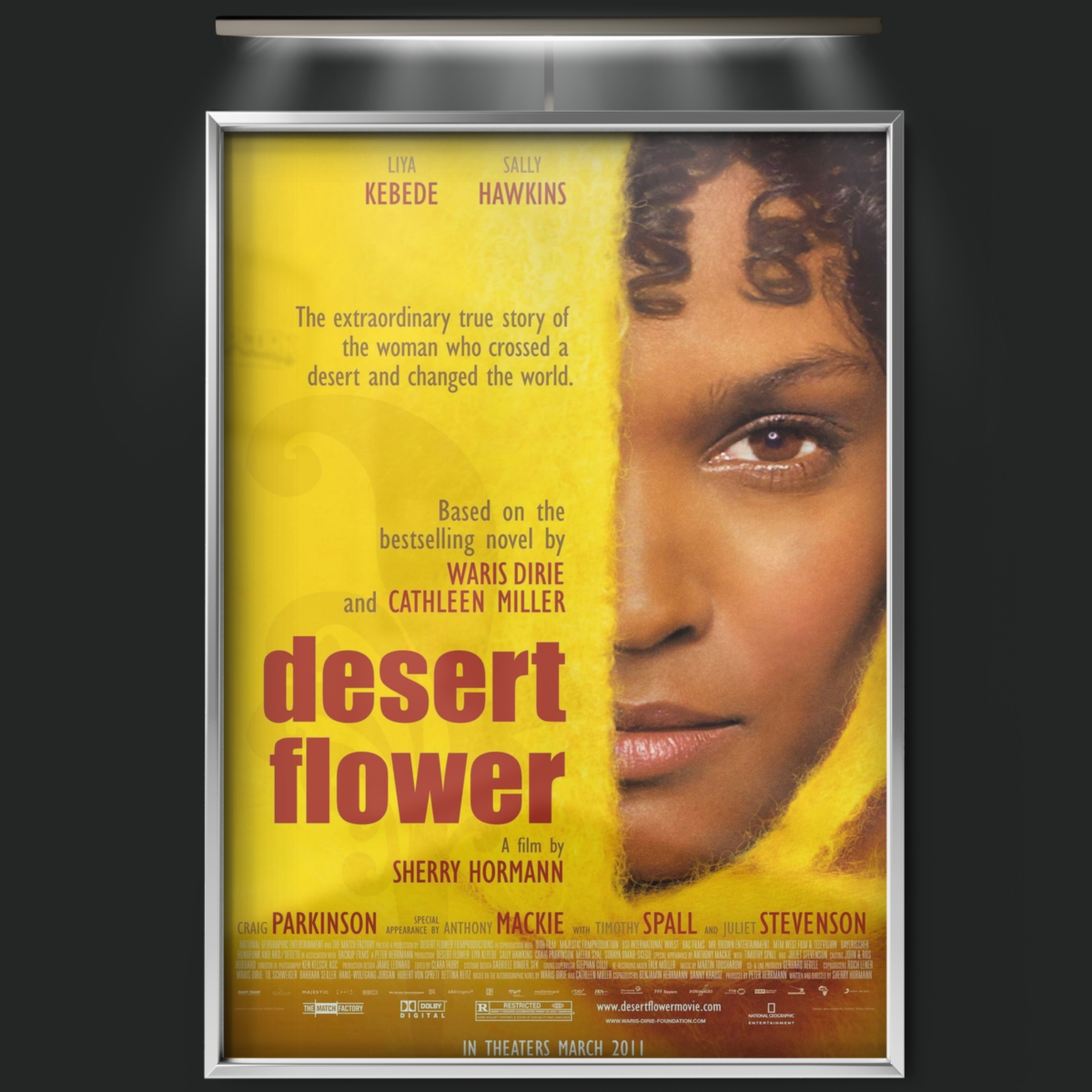 Desert Flower (2009)