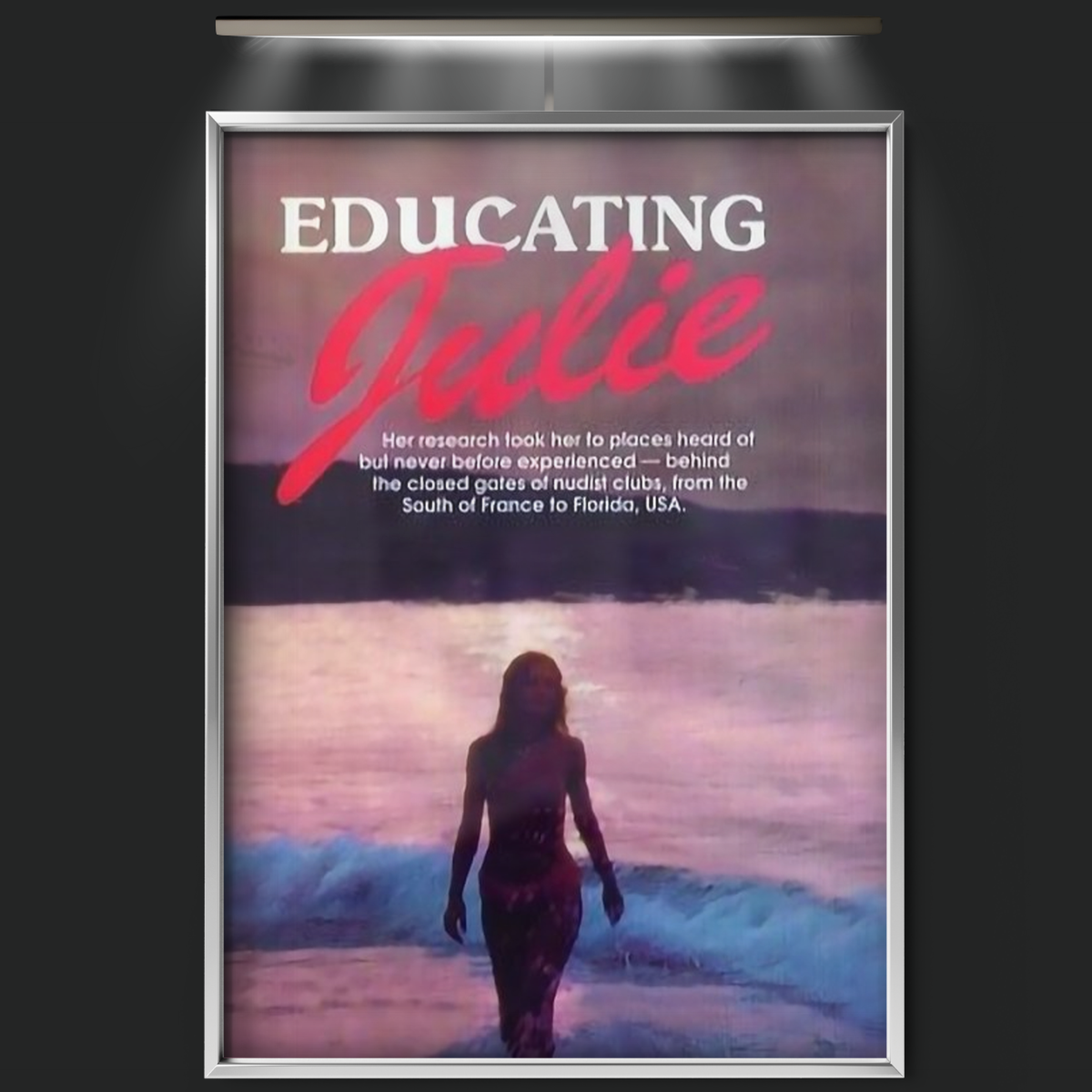 Educating Julie (1984)
