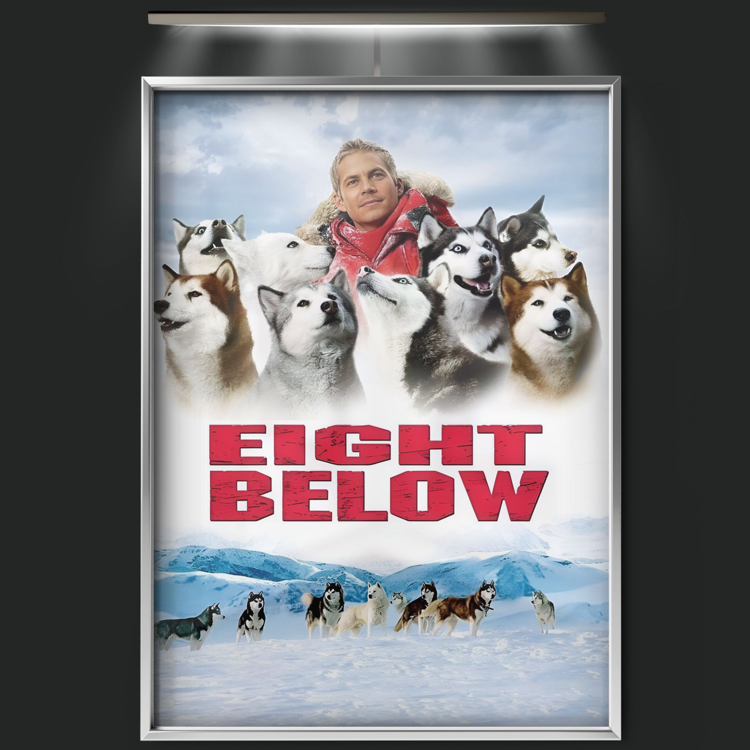 Eight Below (2006)