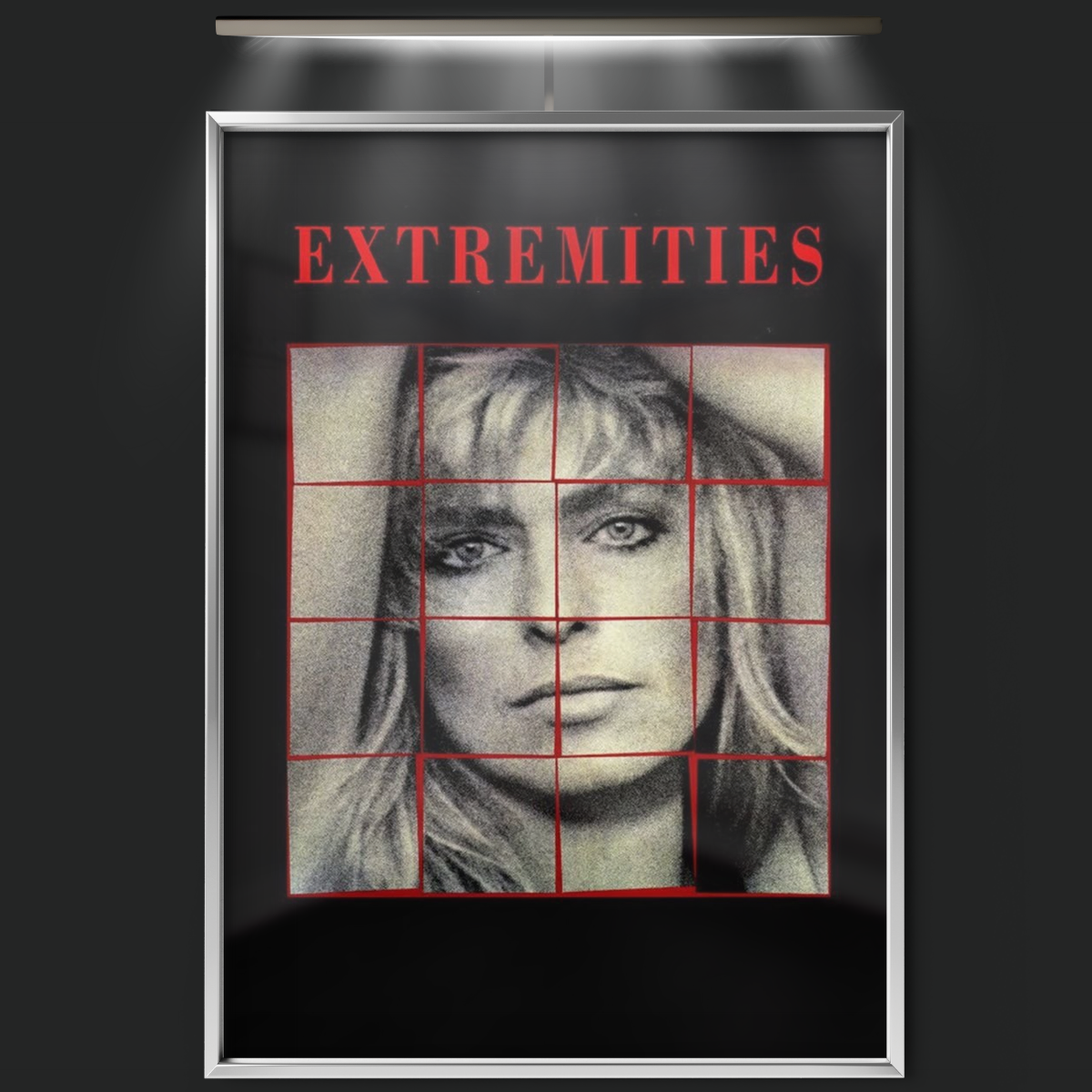 Extremities (1986)