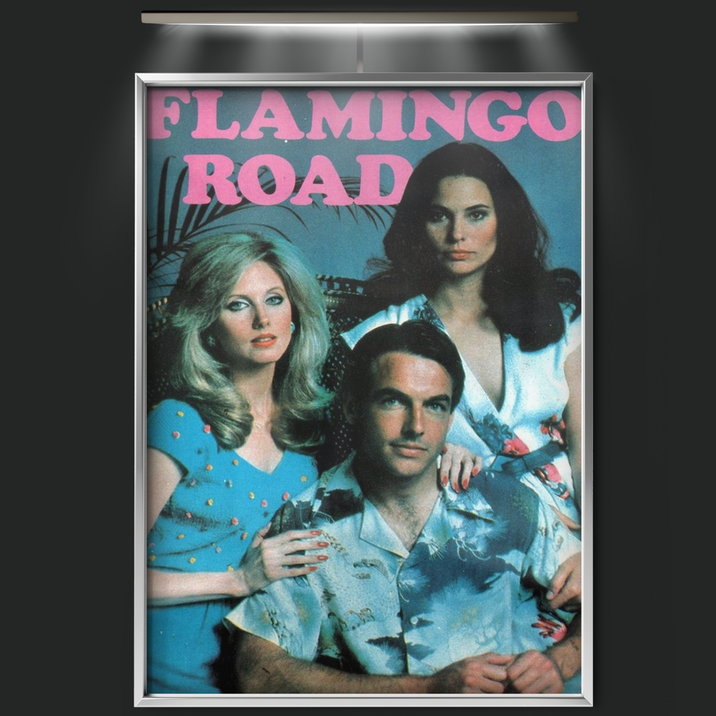 Flamingo Road (1981)