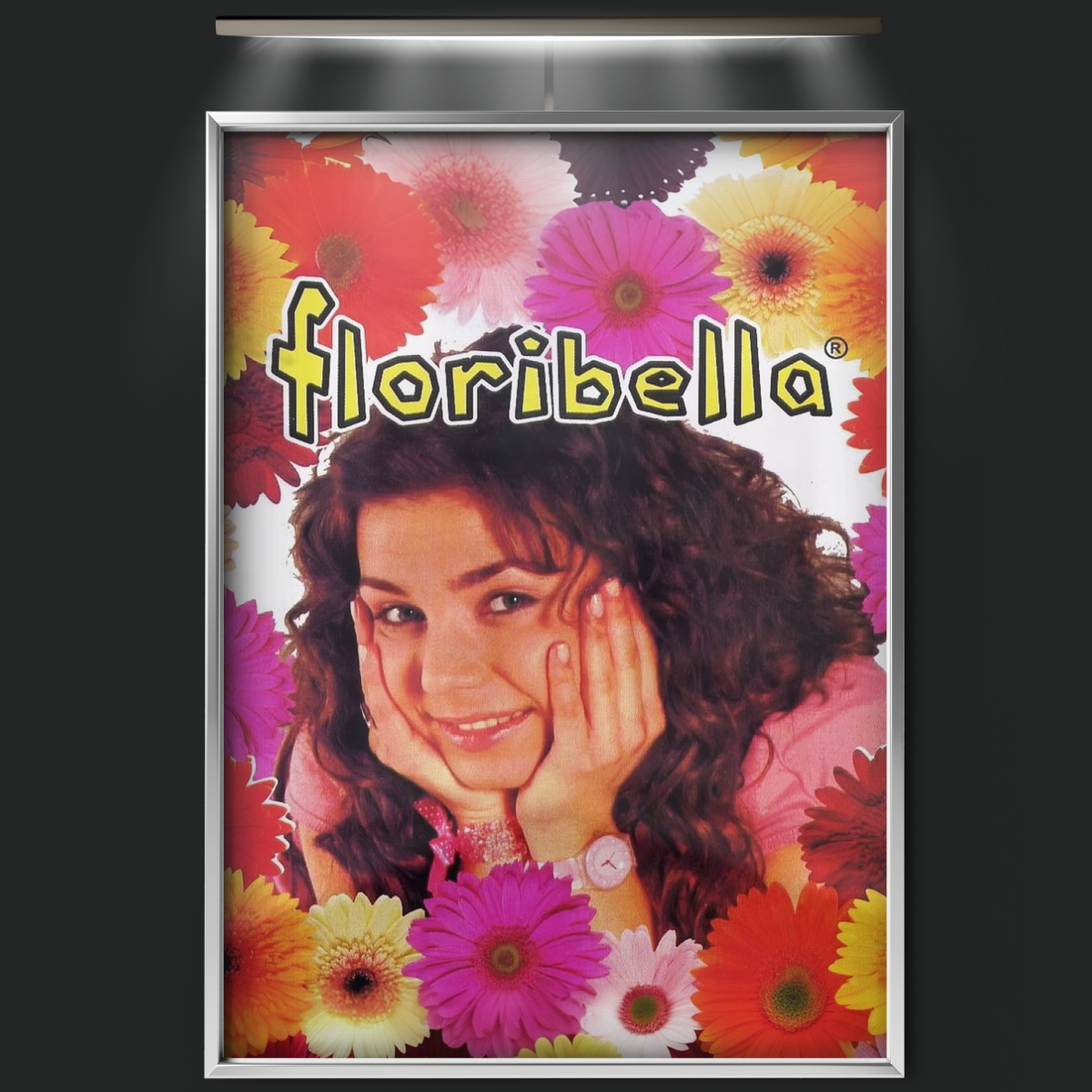 Floribella (2006)