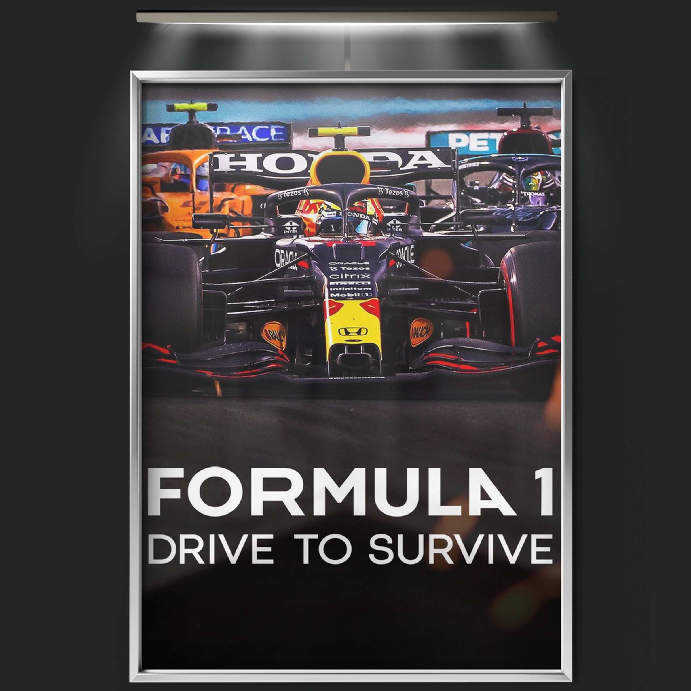 Formula 1 Drive To Survive (2019)