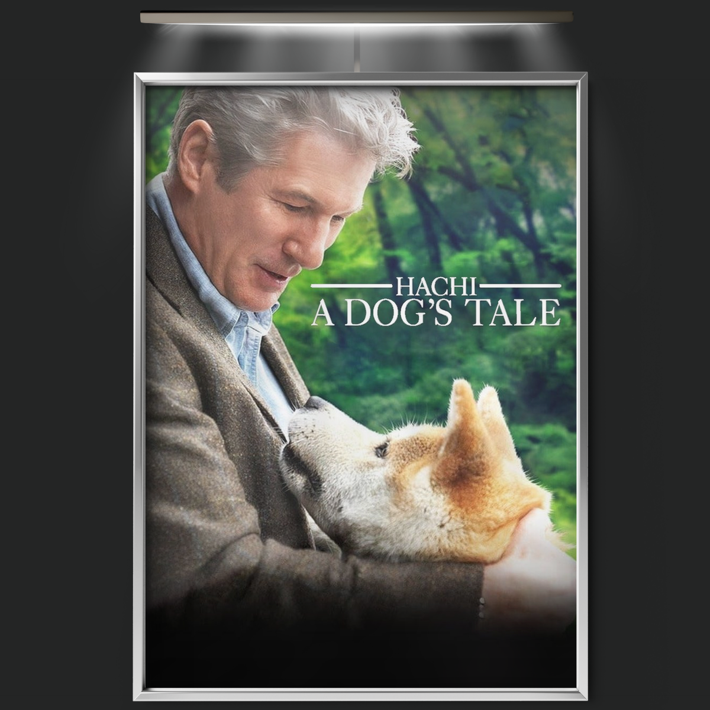 Hachi A Dog's Tale (2009)