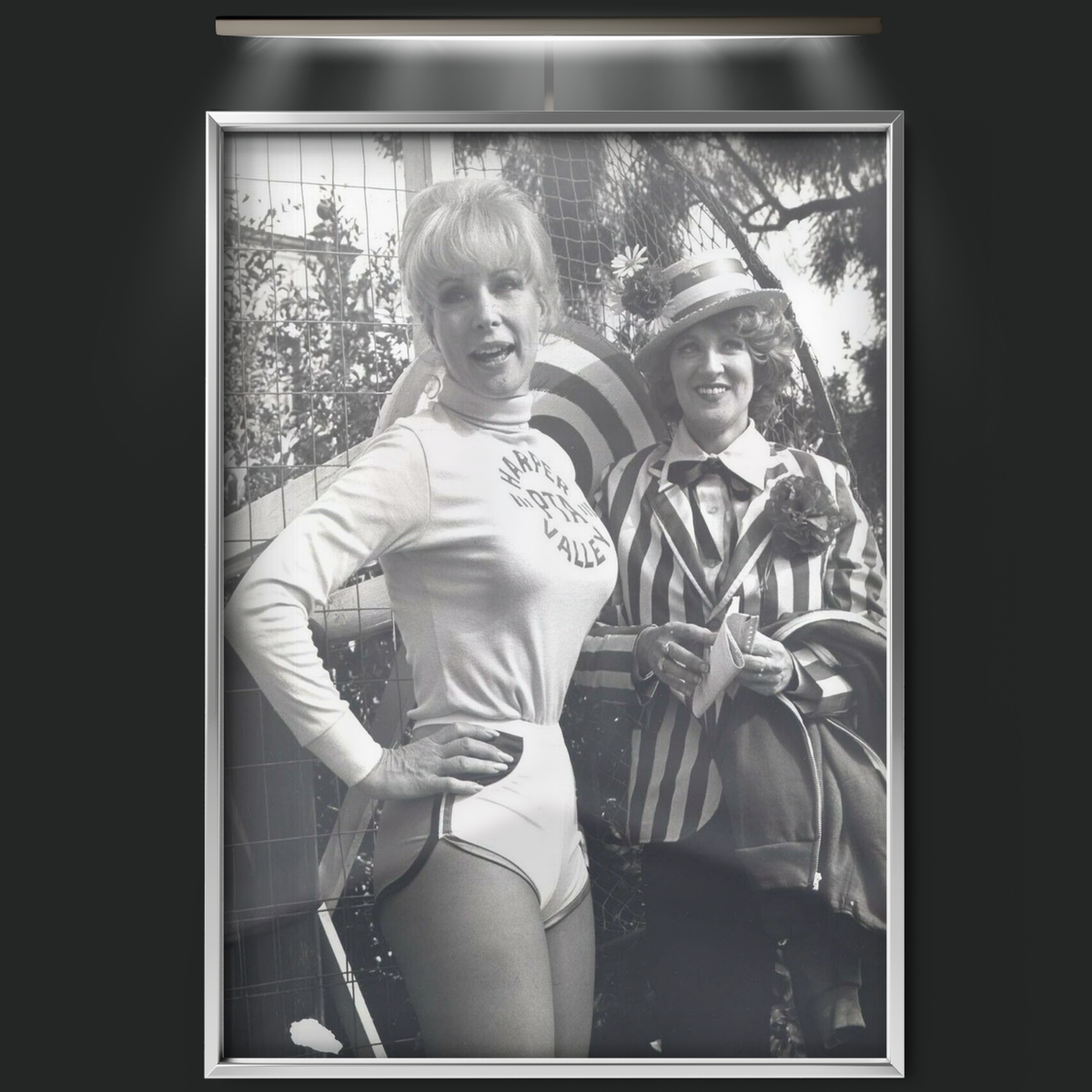Harper Valley (1981)