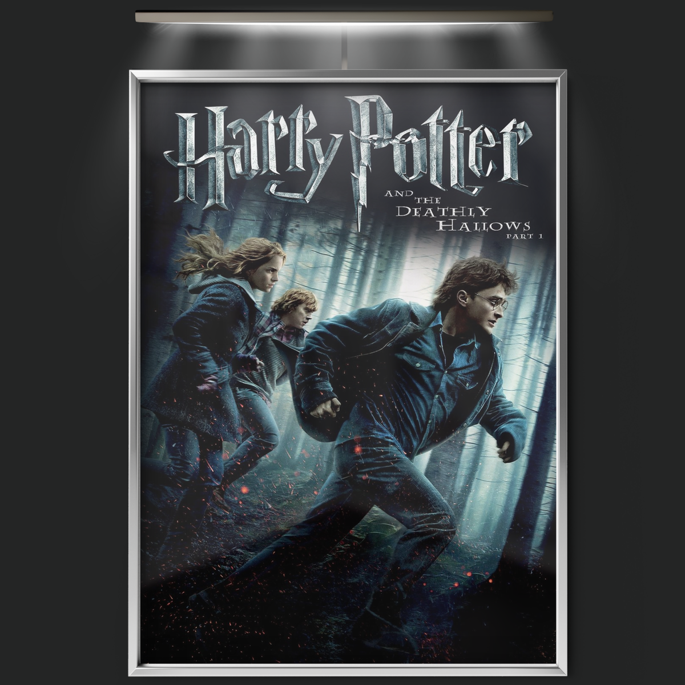 Harry Potter And The Deathly Hallows Part 1 (2010)