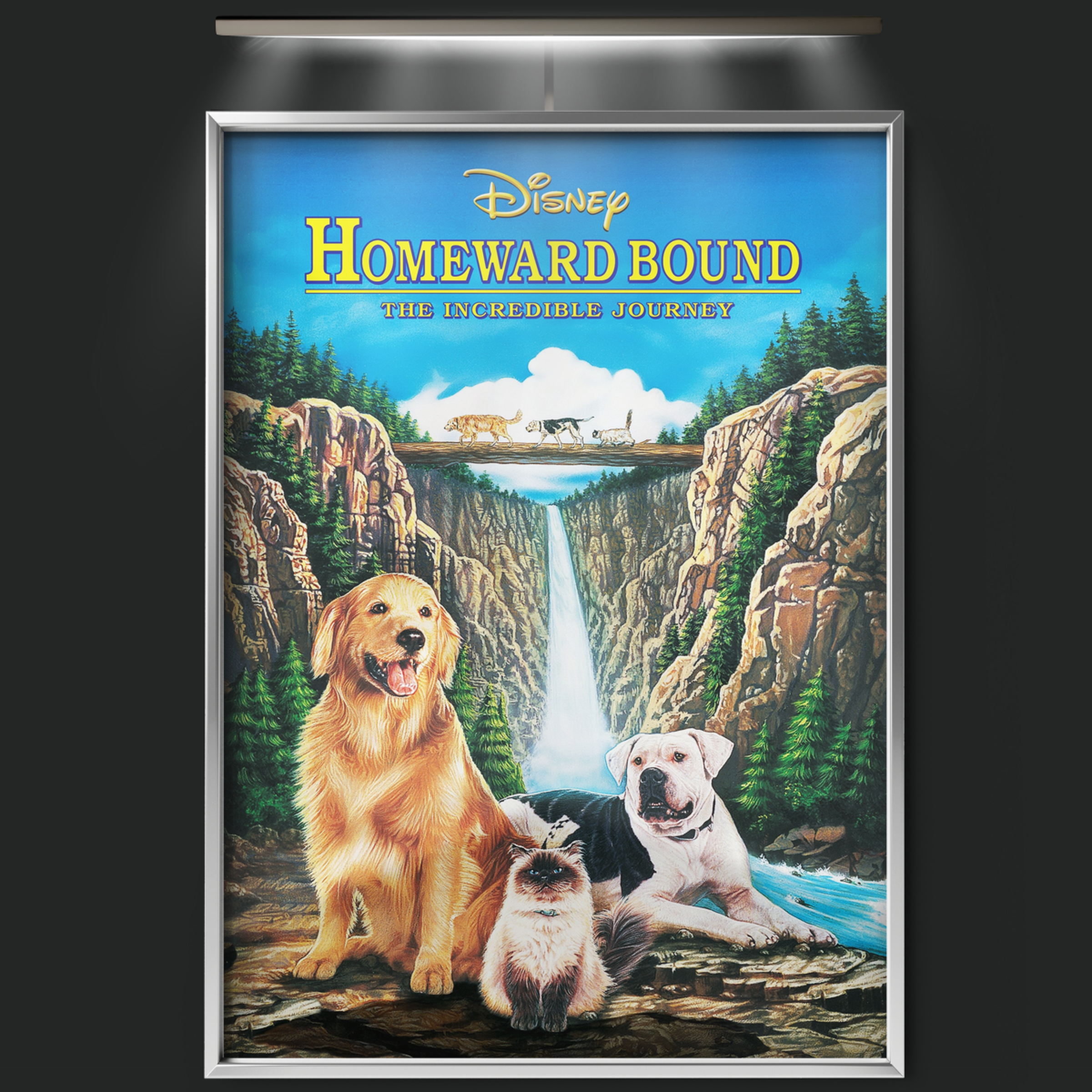 Homeward Bound The Incredible Journey (1993)