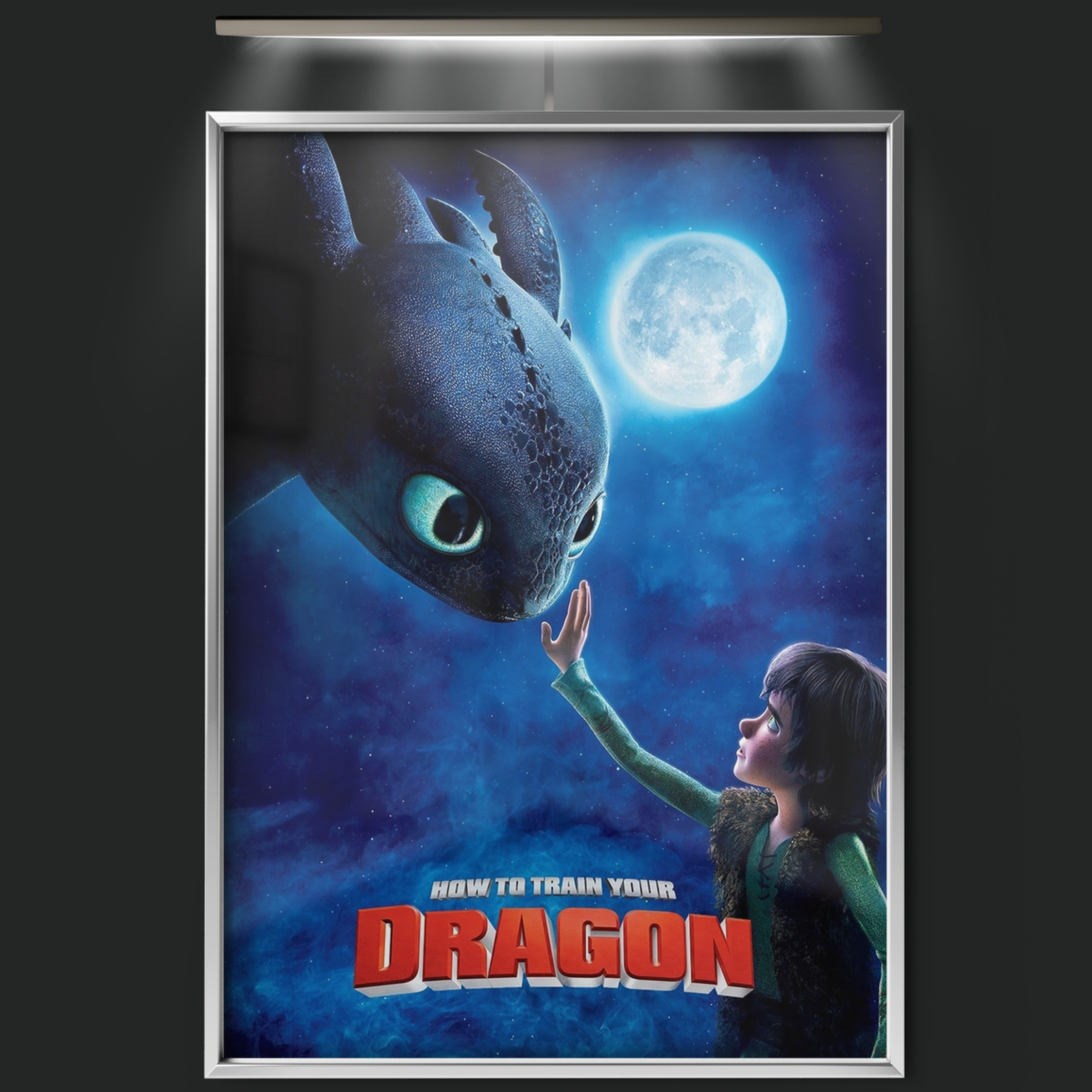 How To Train Your Dragon (2010)