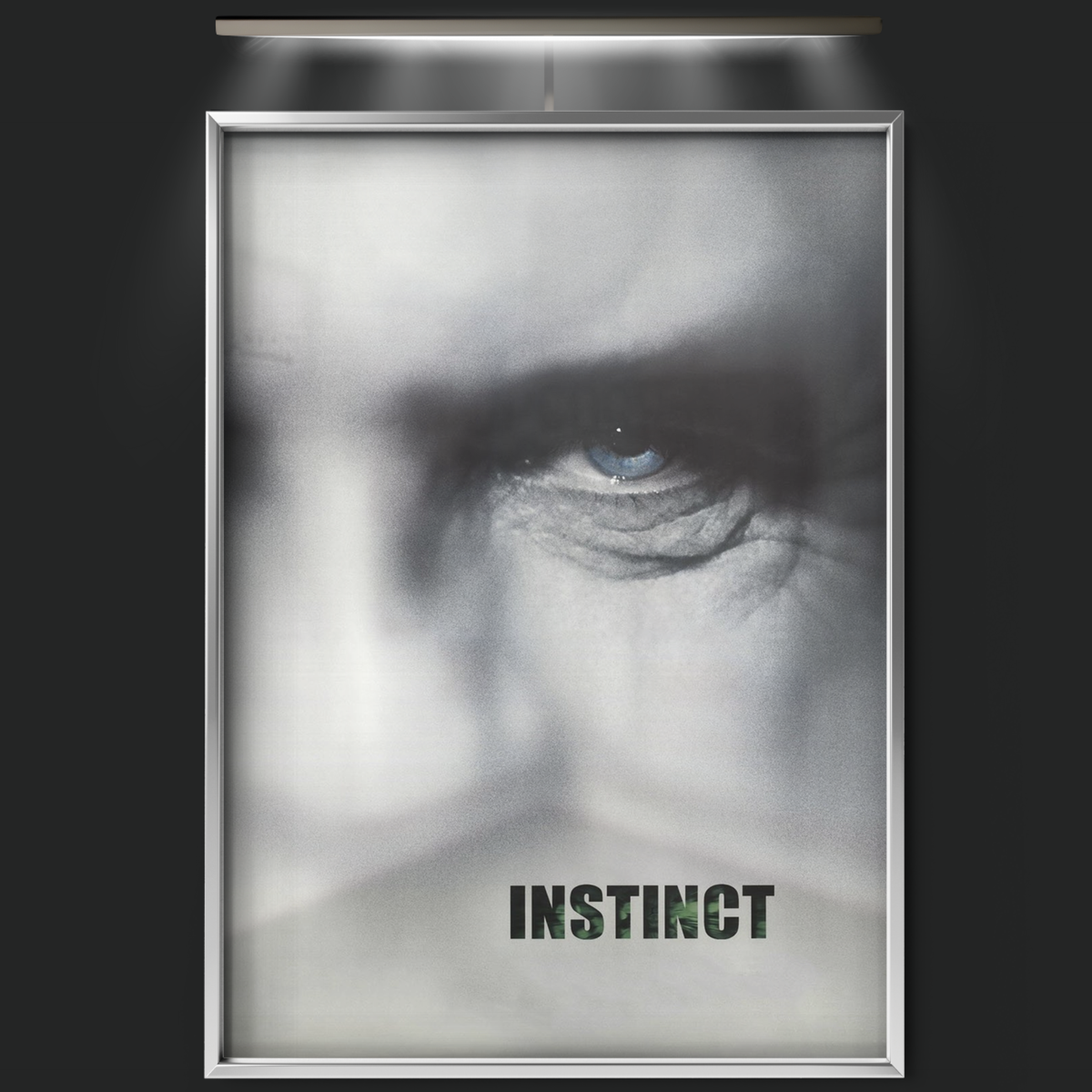 Instinct (1999)