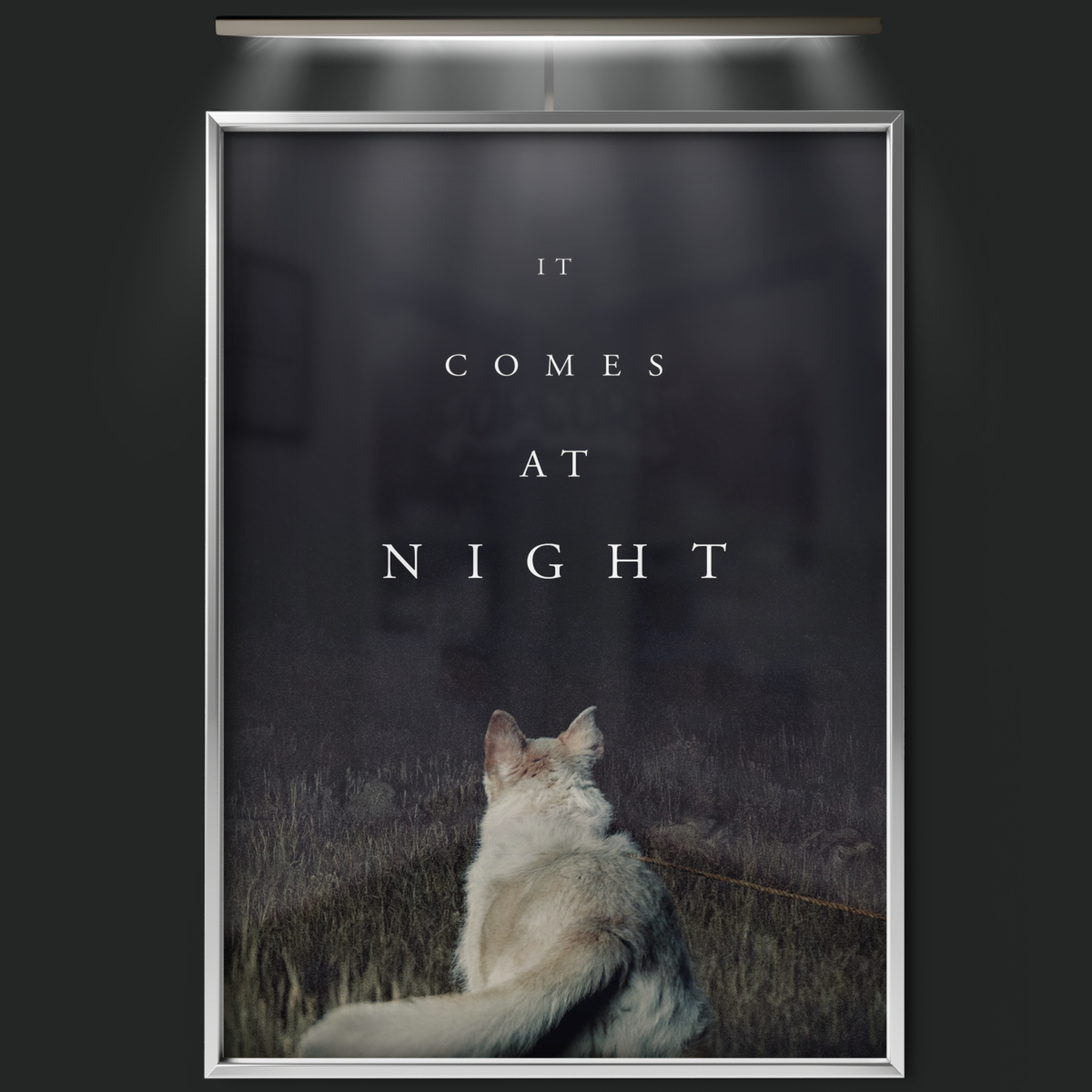 It Comes At Night (2017)
