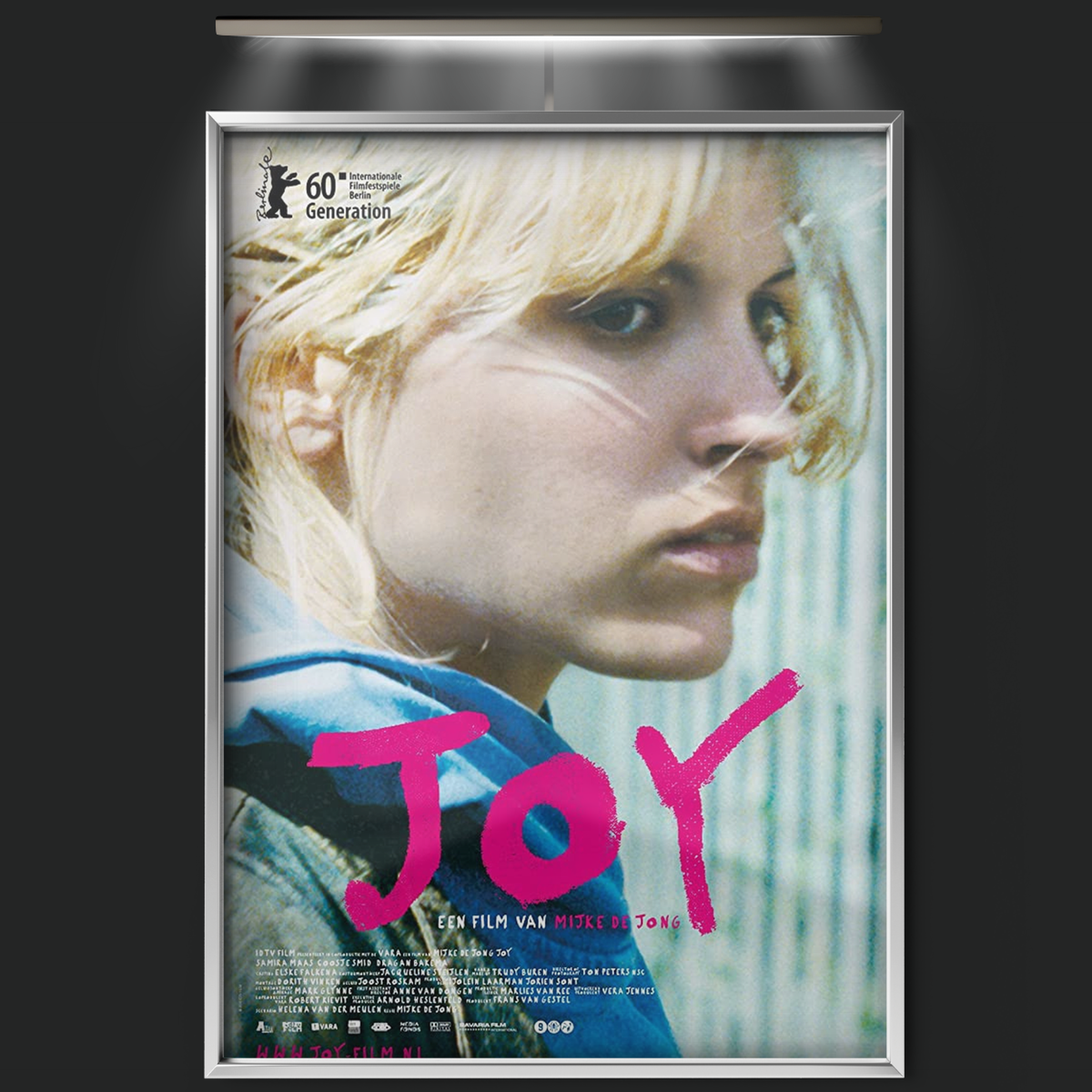 Joy (2010)