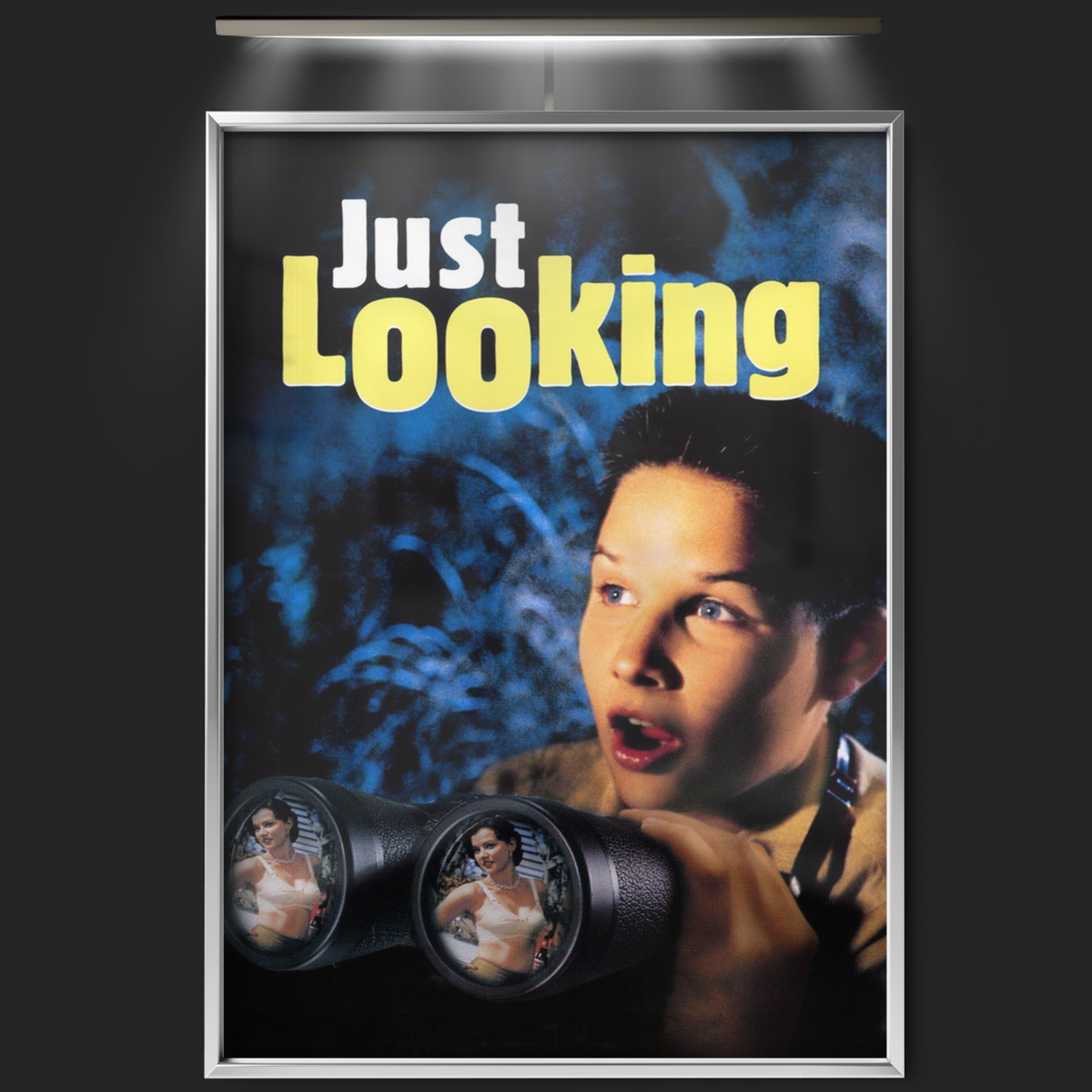 Just Looking (1999)