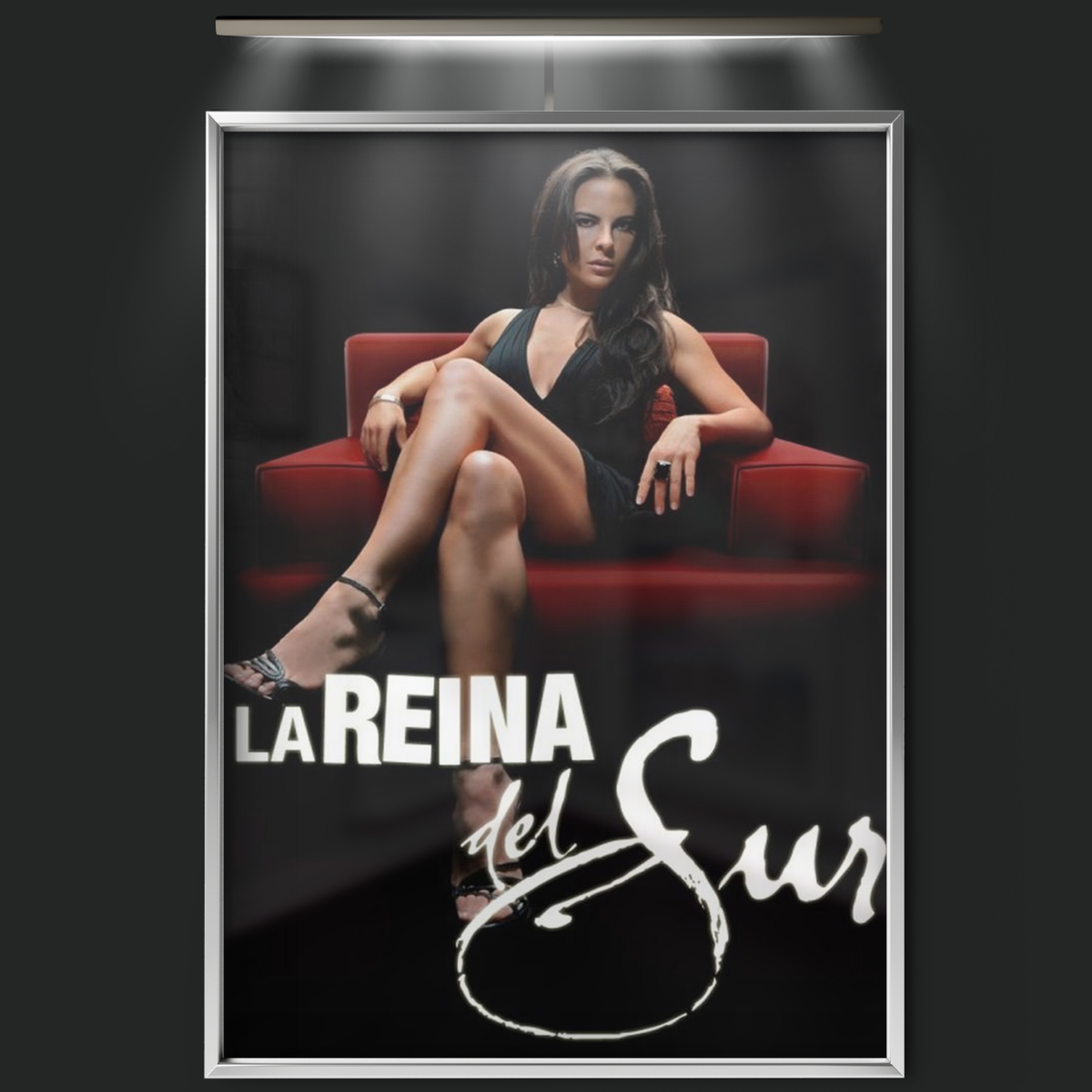 La Reina Del Sur (2011)