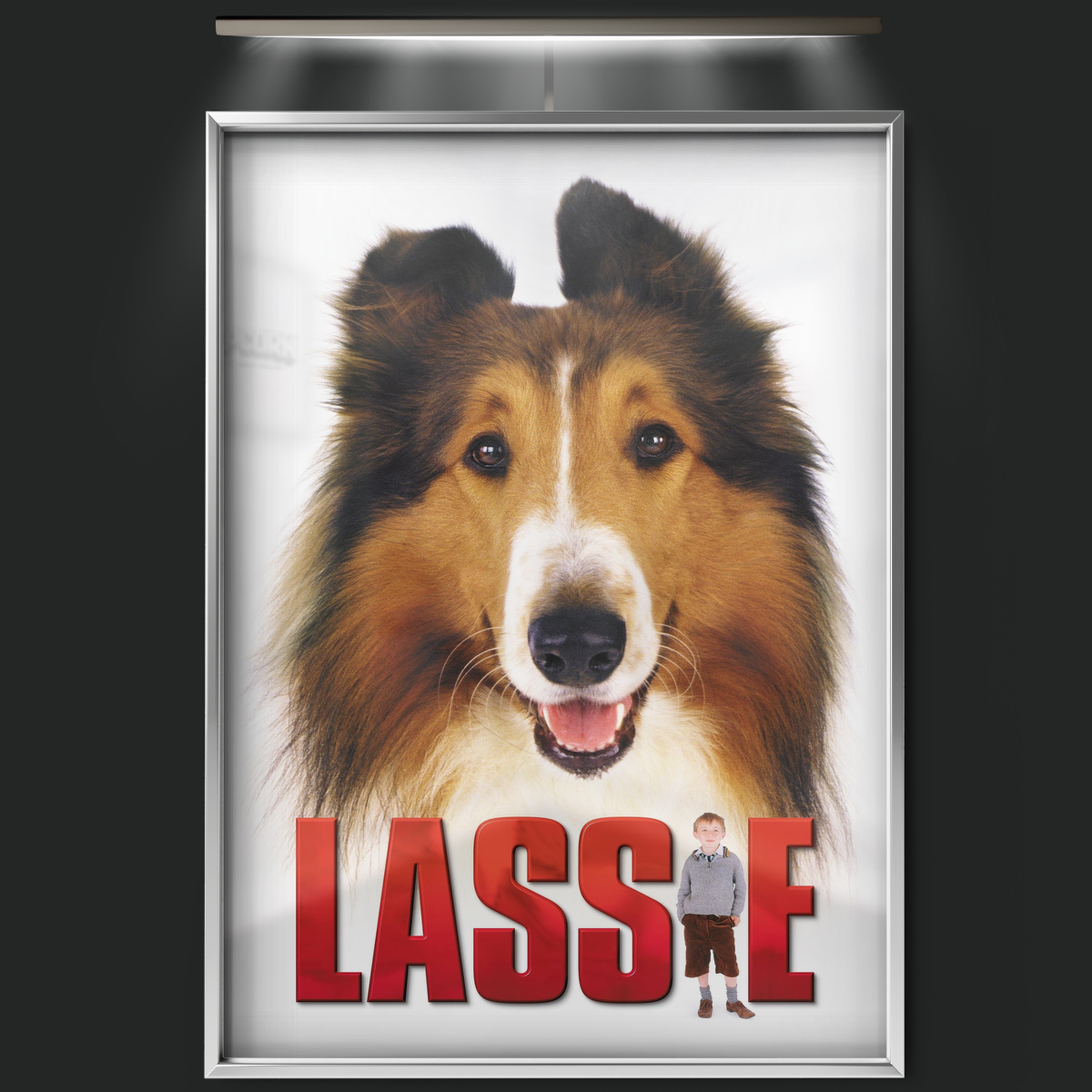 Lassie (2005)