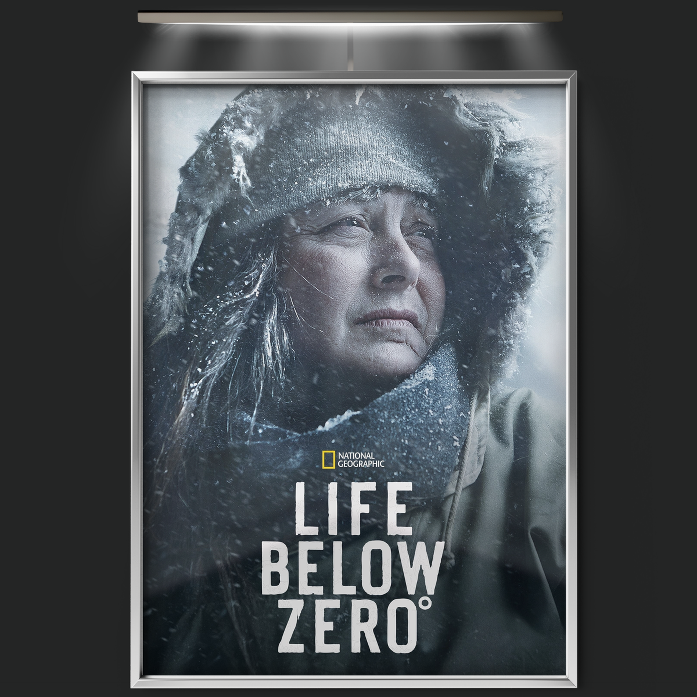 Life Below Zero (2013)