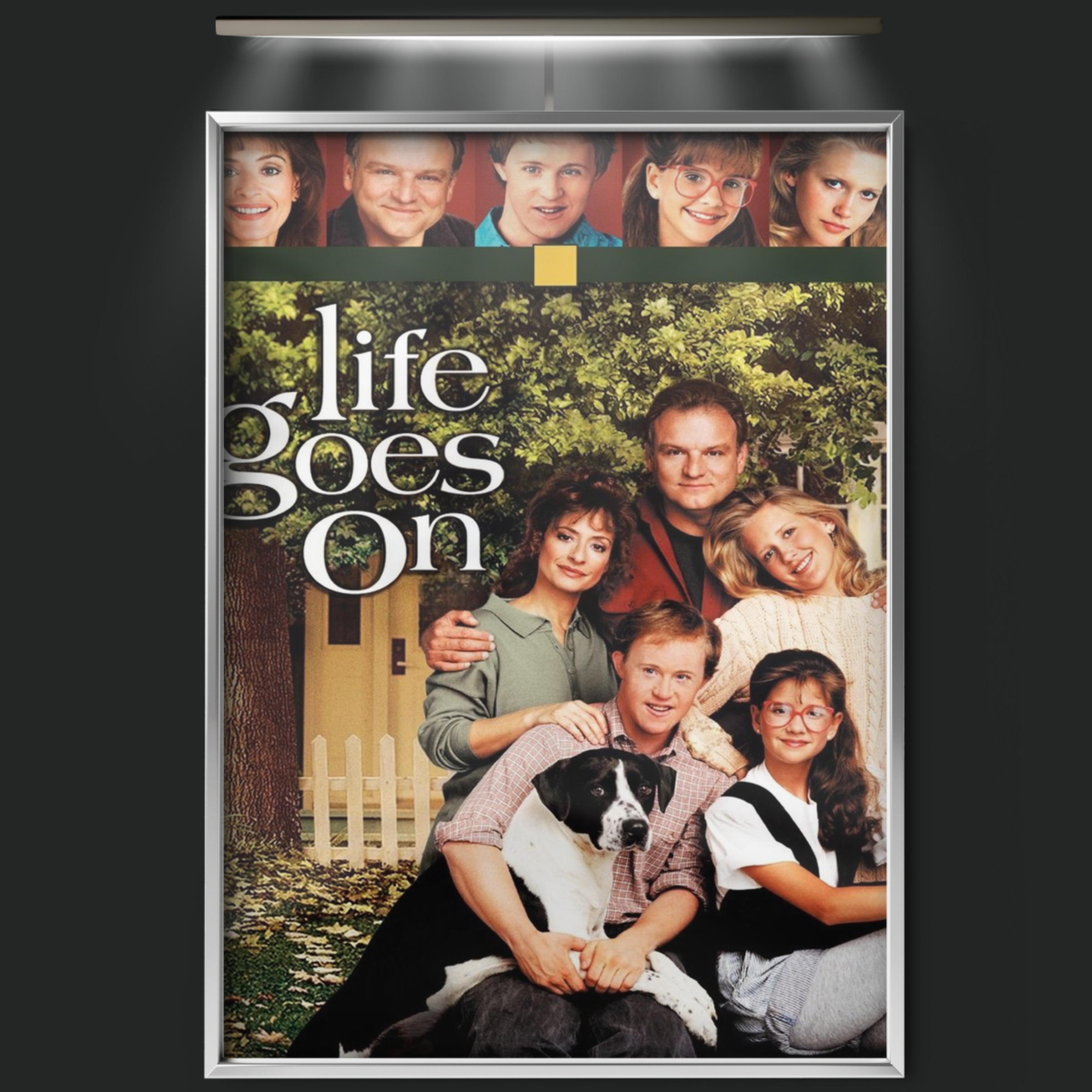 Life Goes On (1989)