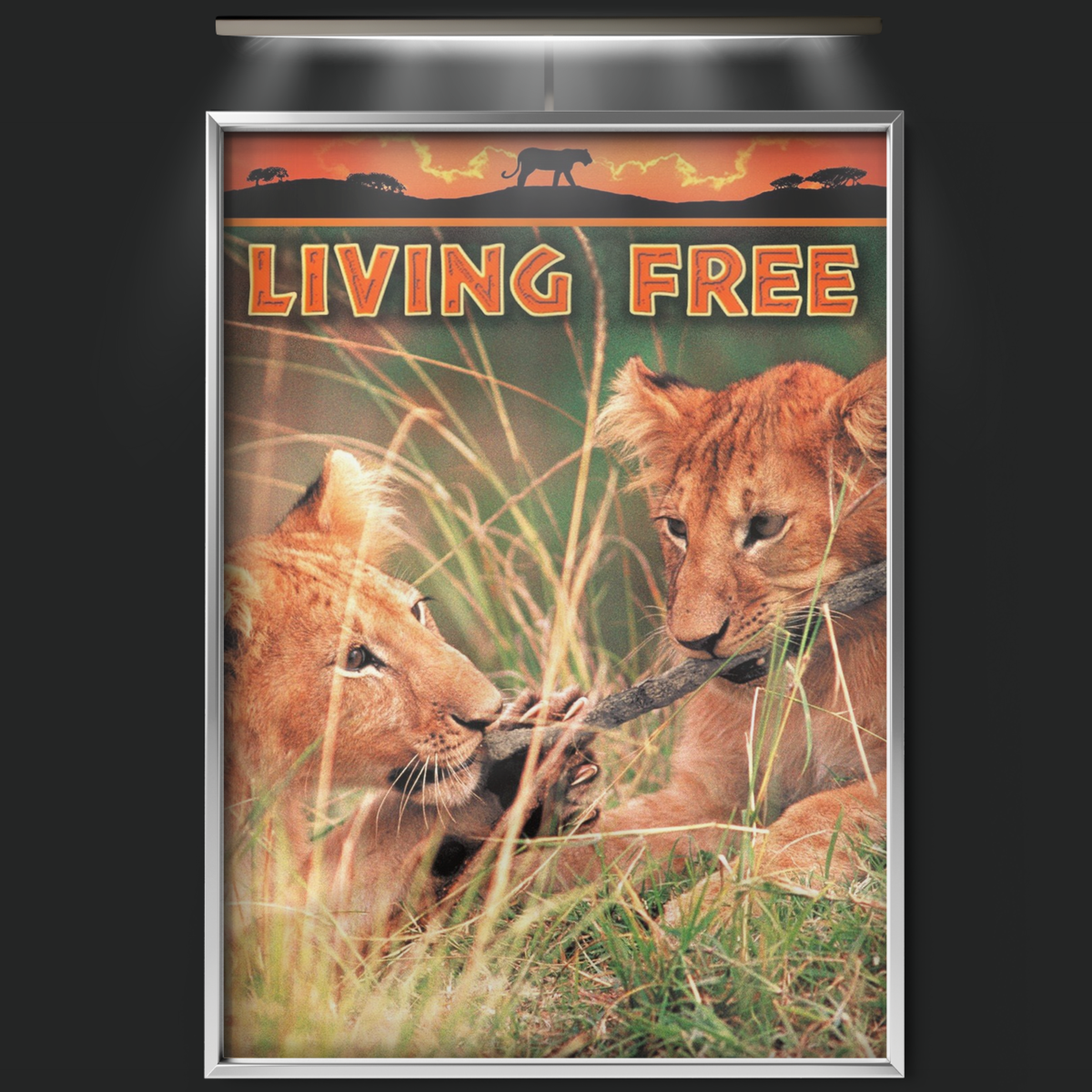 Living Free (1972)