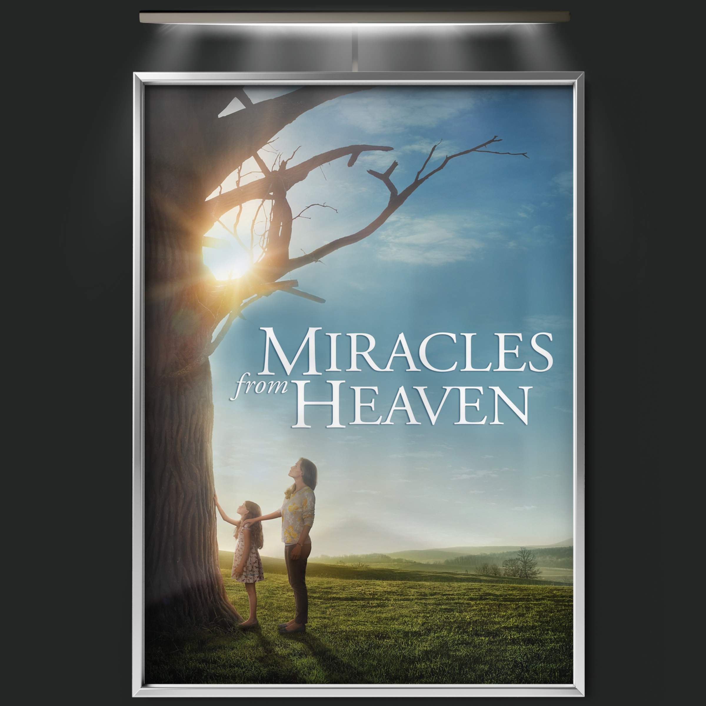 Miracles From Heaven (2016)