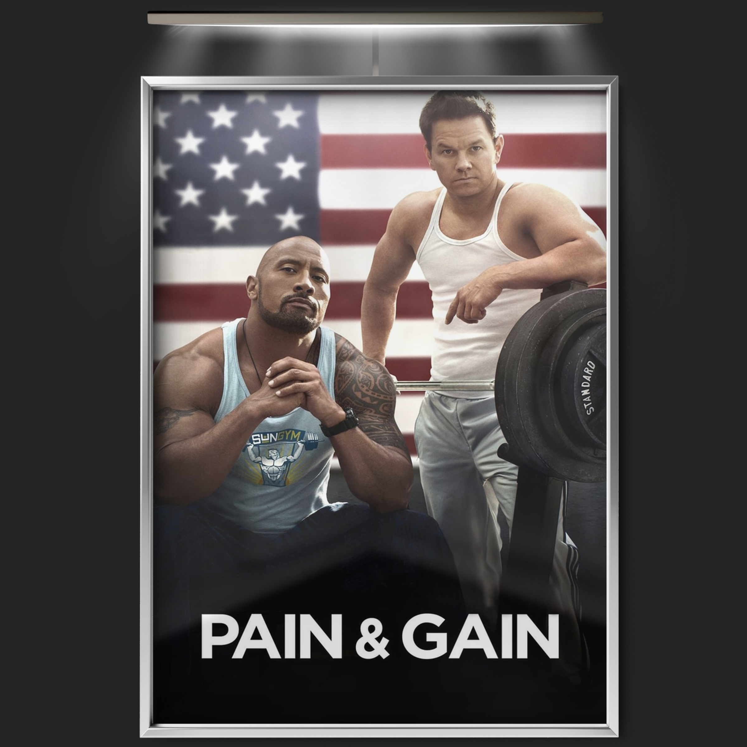 Pain & Gain (2013)
