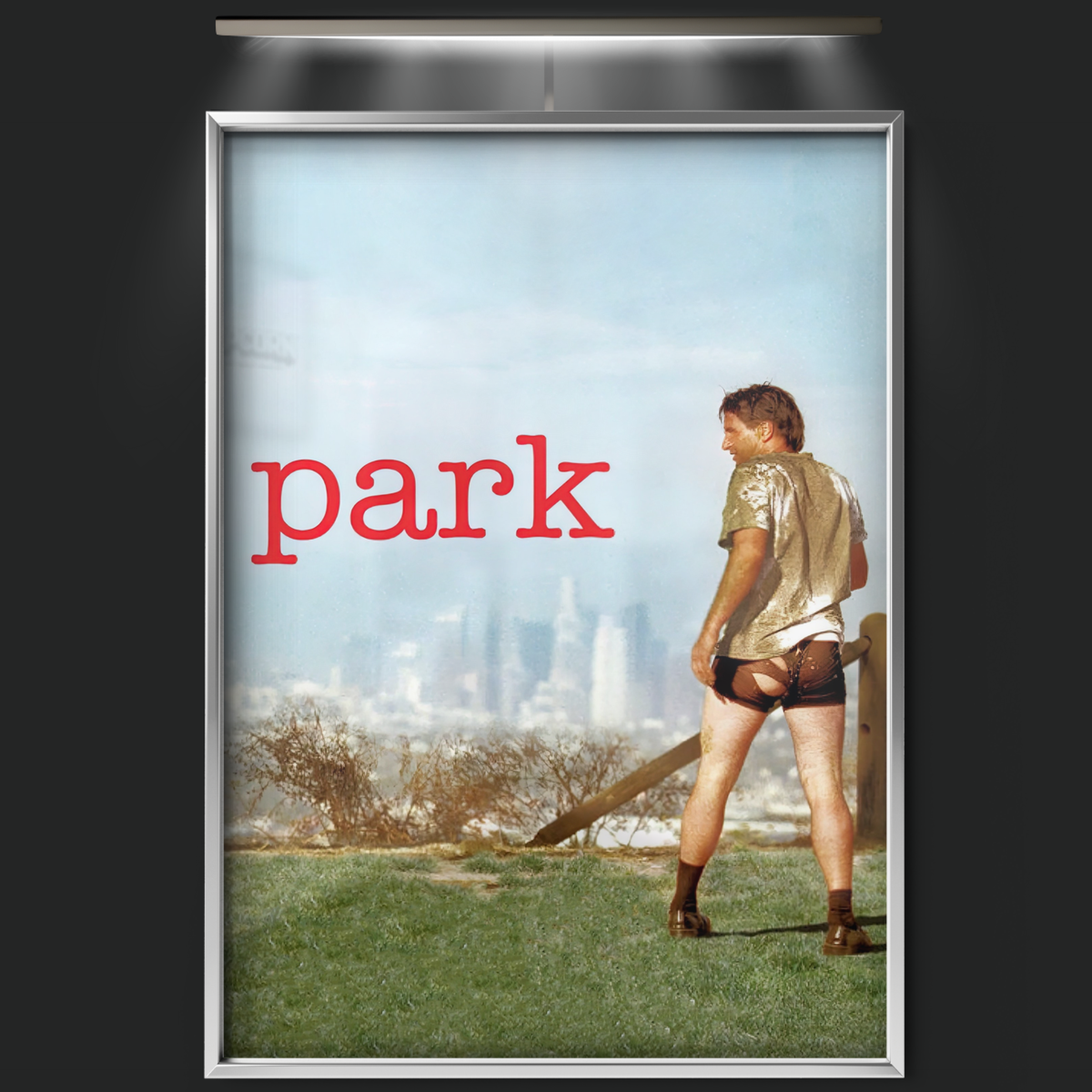 Park (2006)