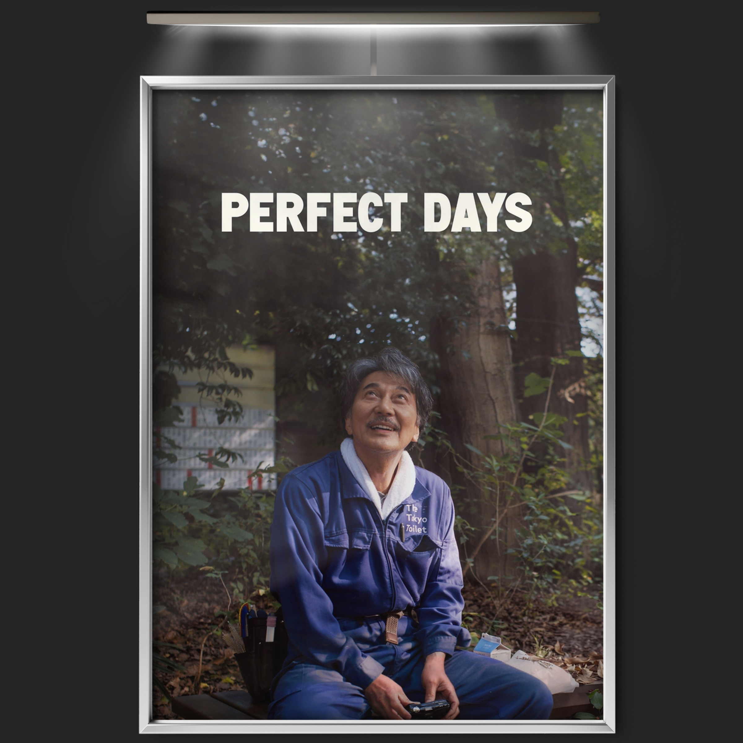 Perfect Days (2023)