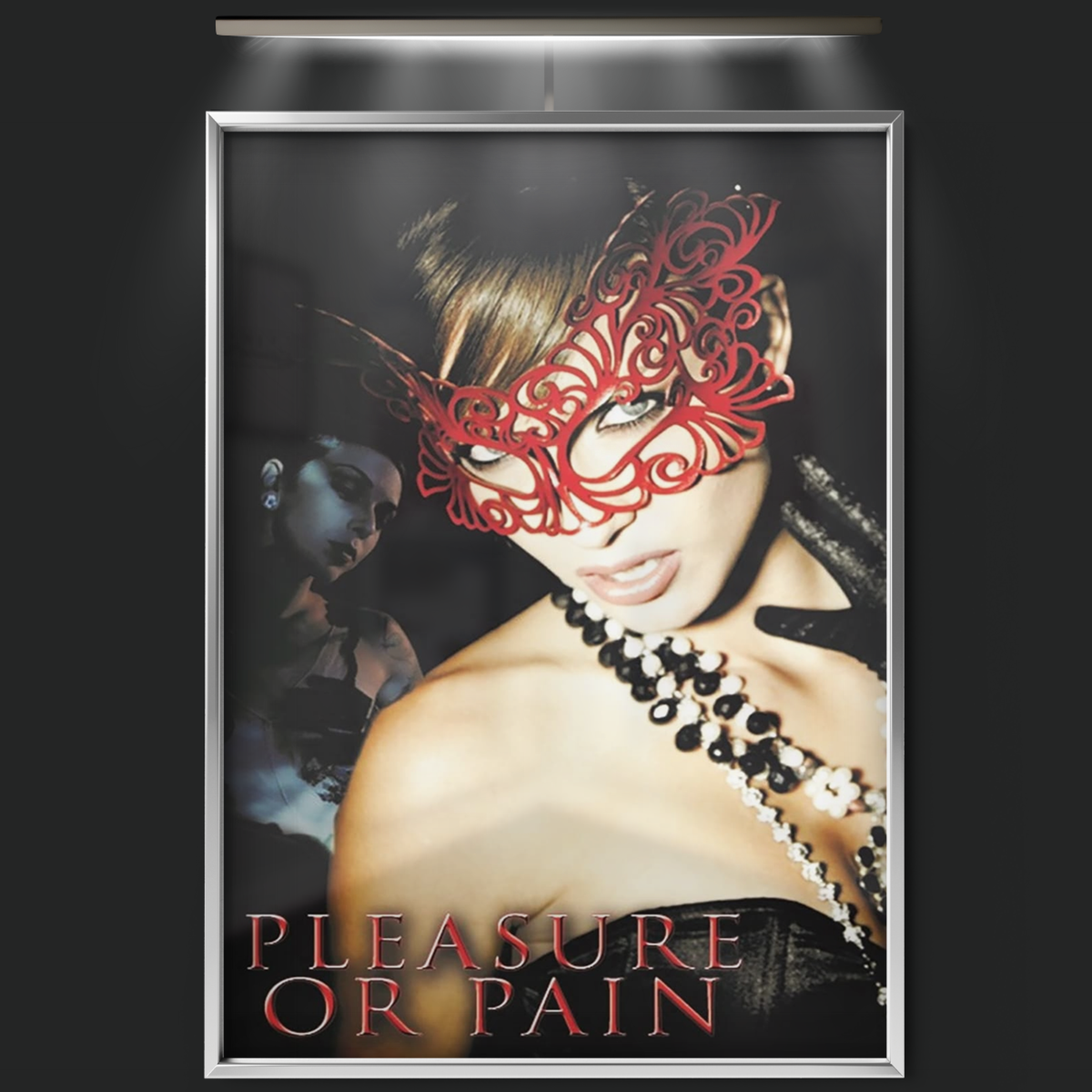 Pleasure Or Pain (2013)