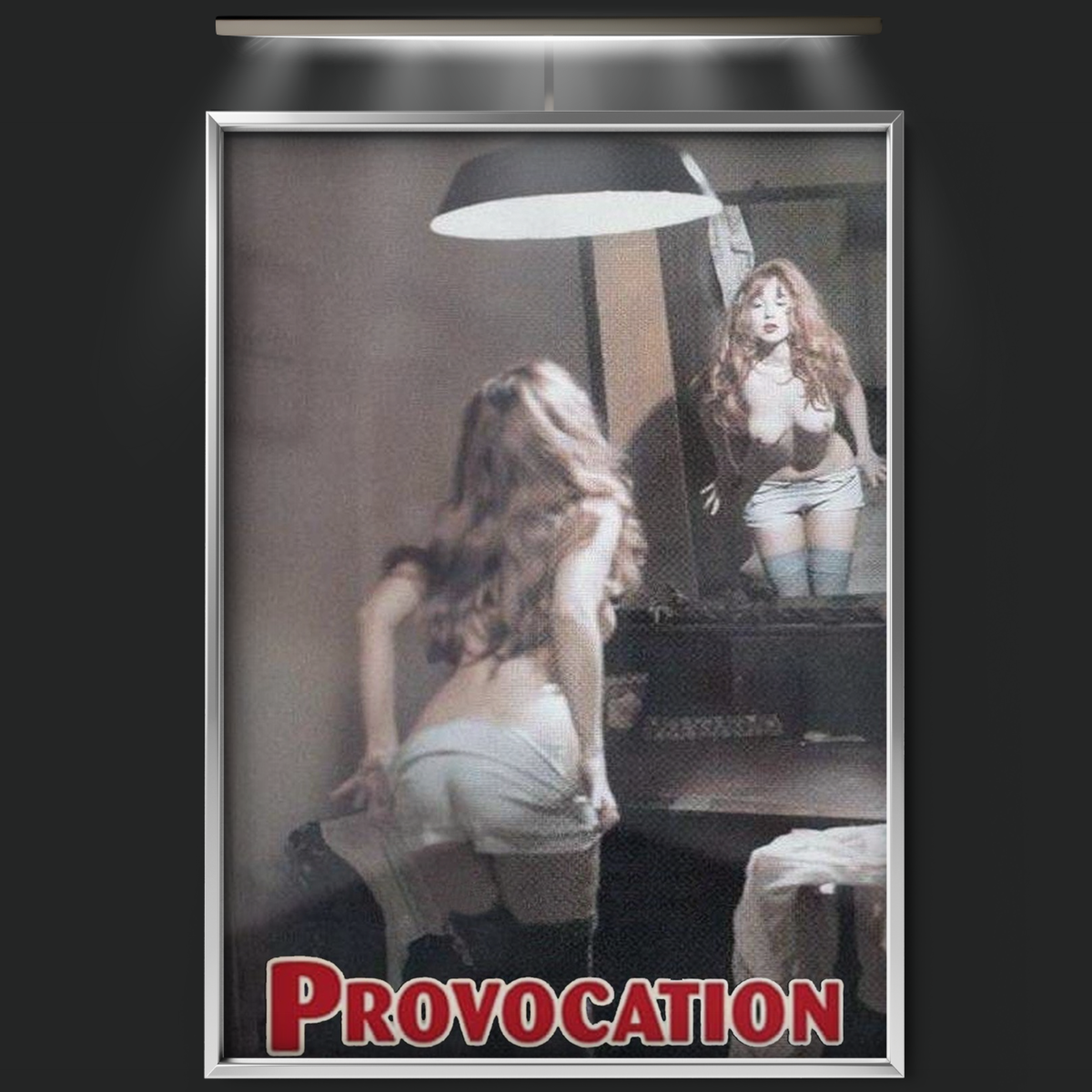 Provocation (1995)