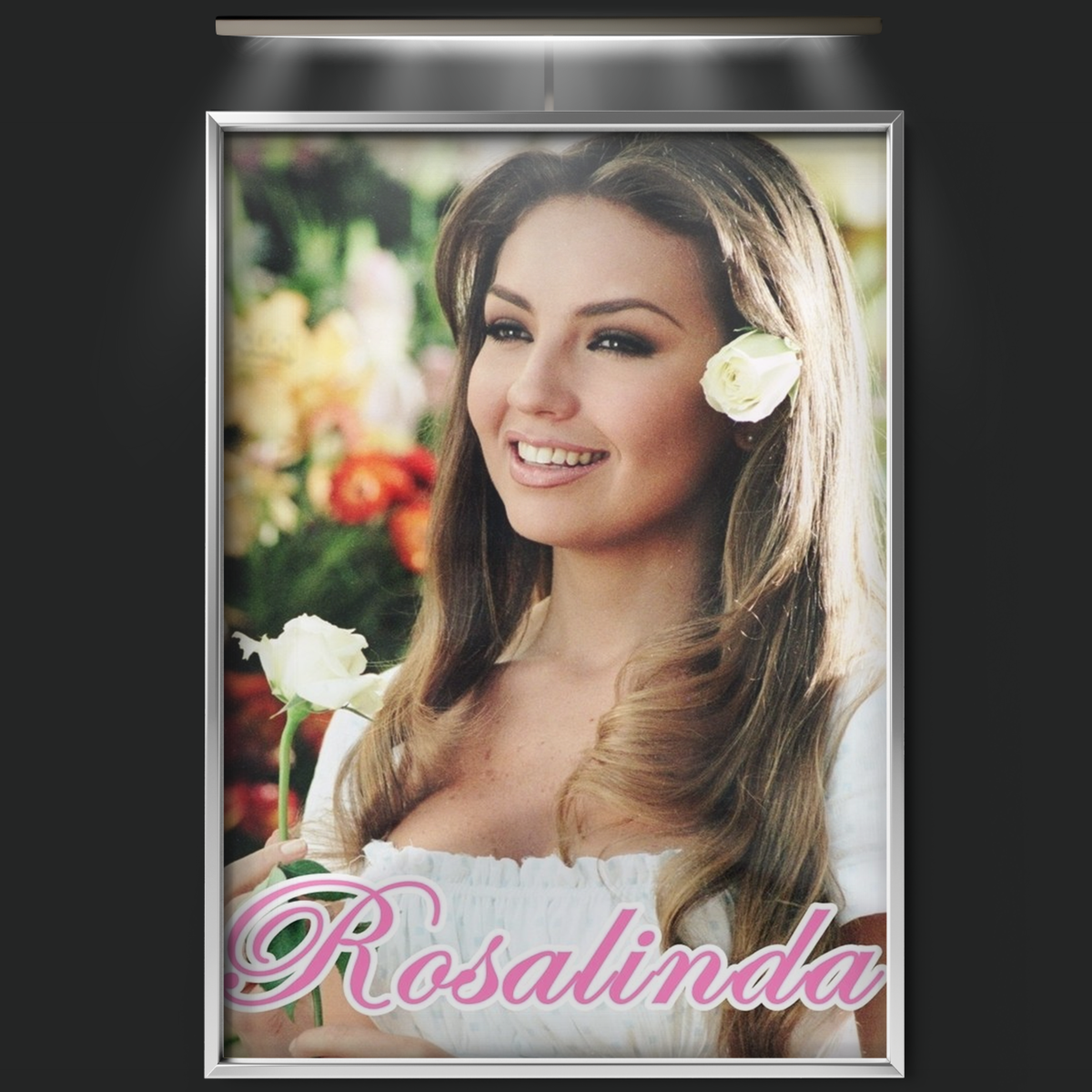 Rosalinda (1999)
