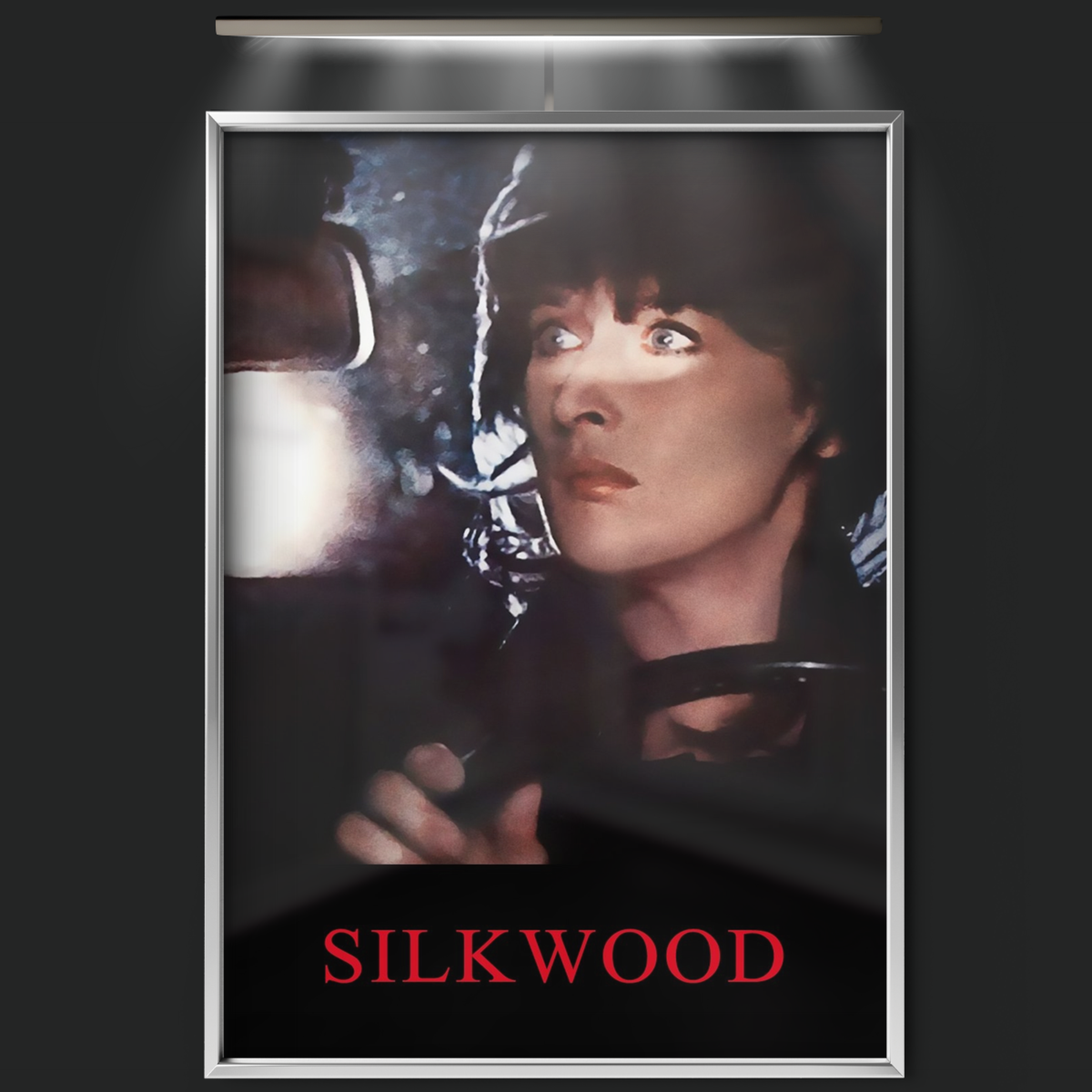 Silkwood (1983)