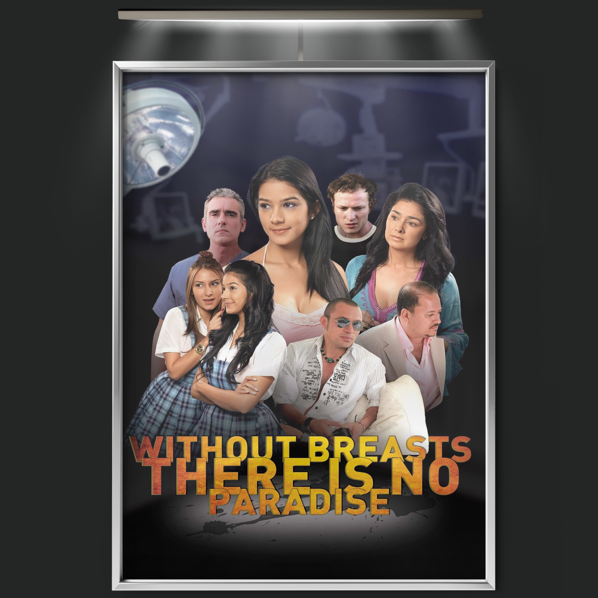 Sin Tetas No Hay Paraíso (2010)