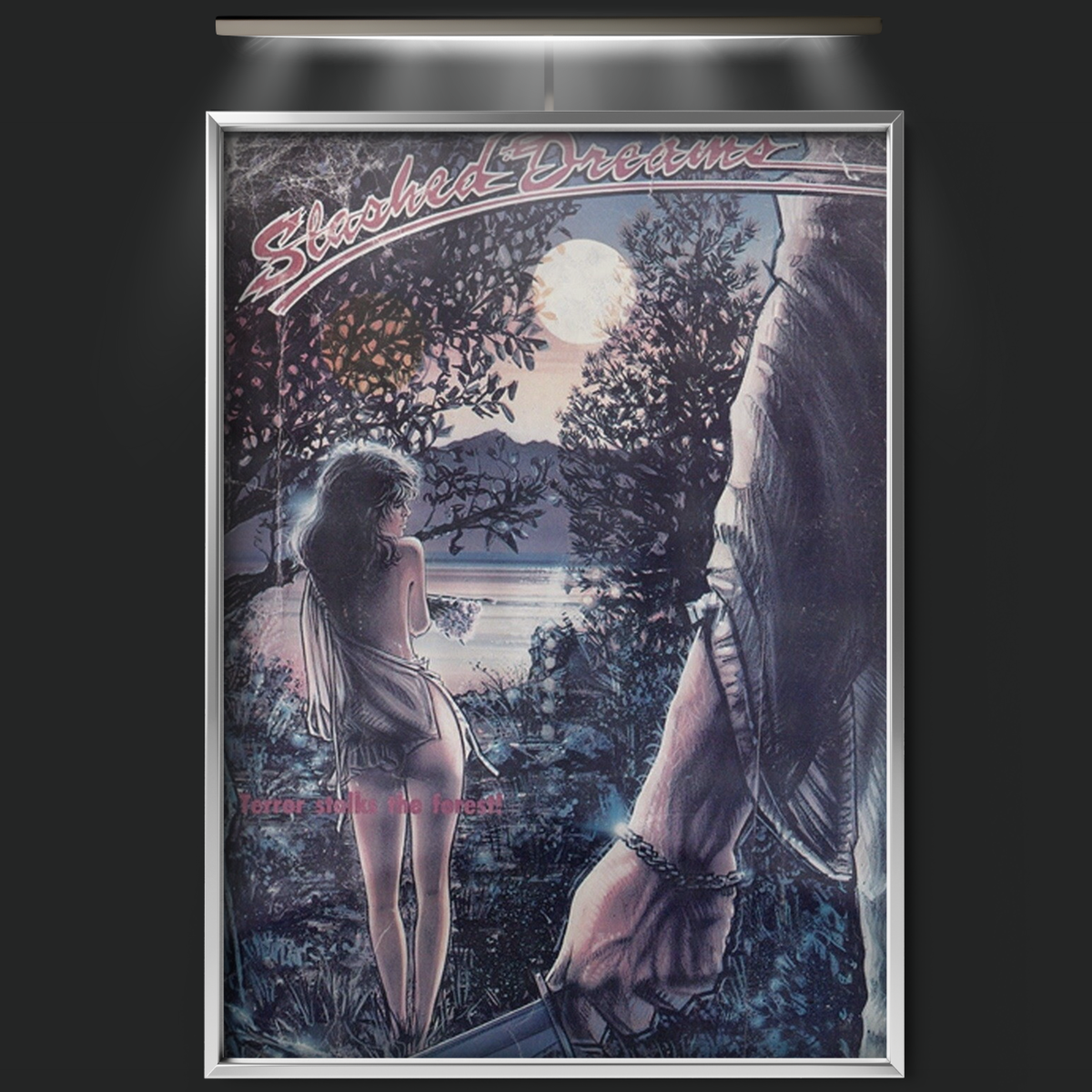 Slashed Dreams (1975)