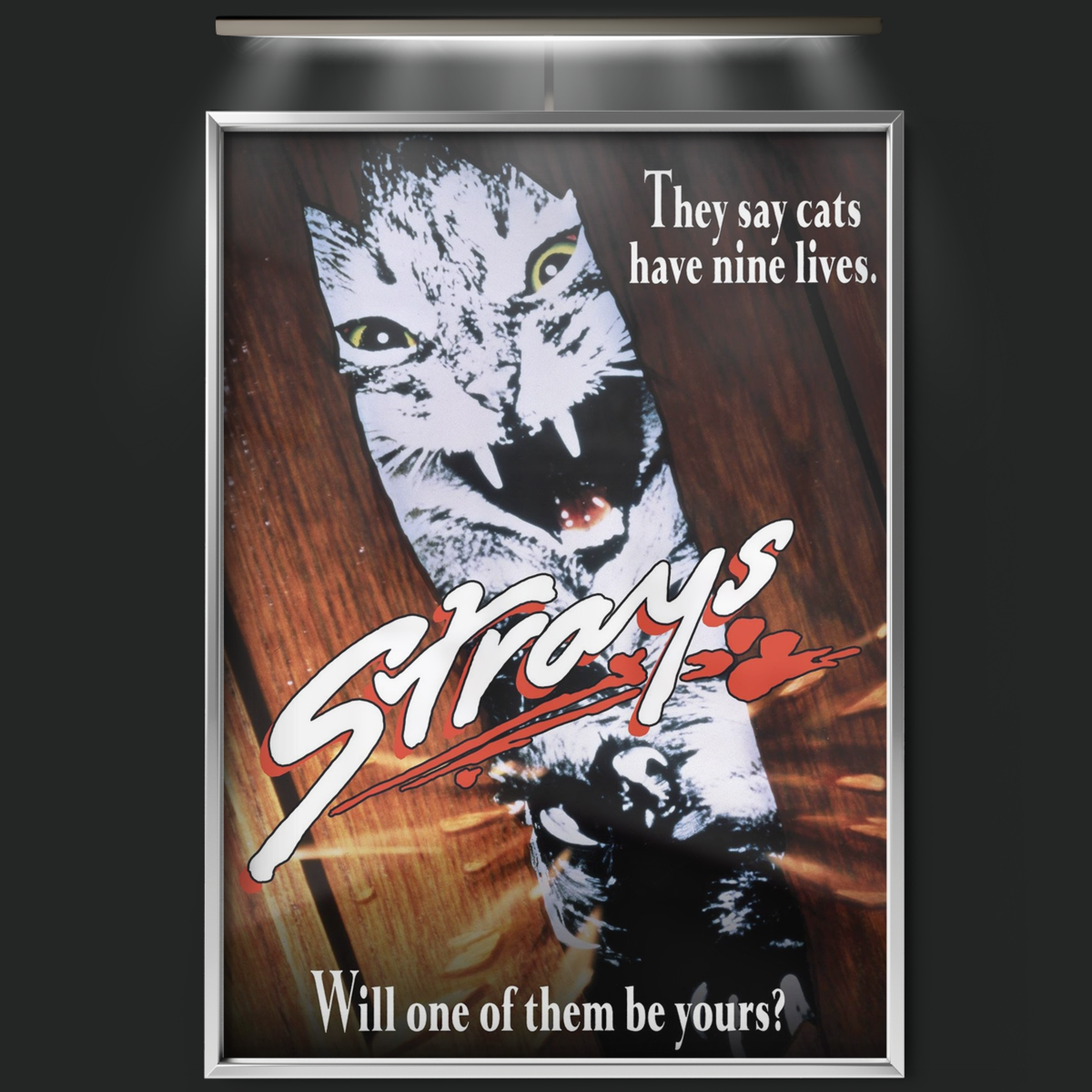 Strays (1991)
