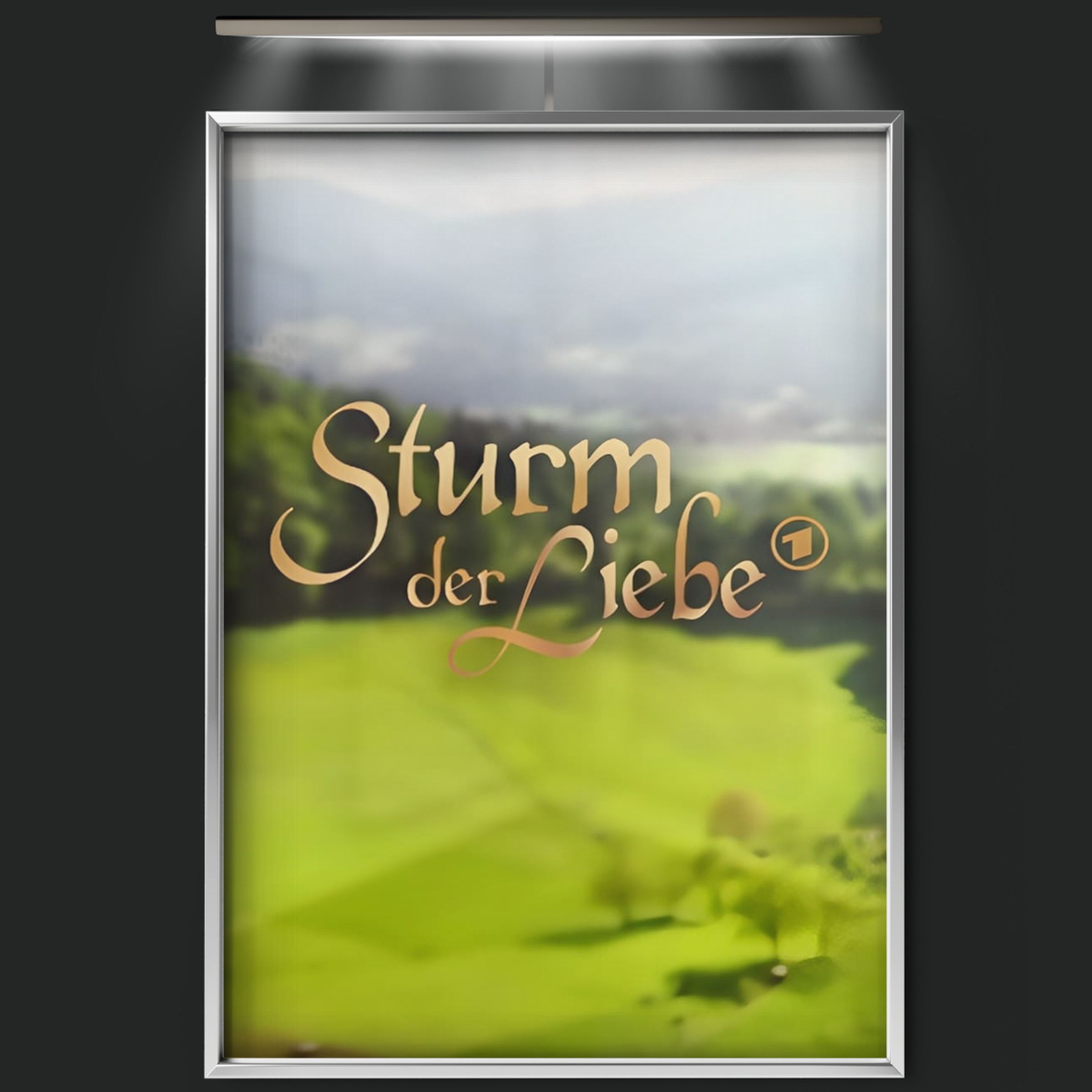 Sturm Der Liebe (2005)